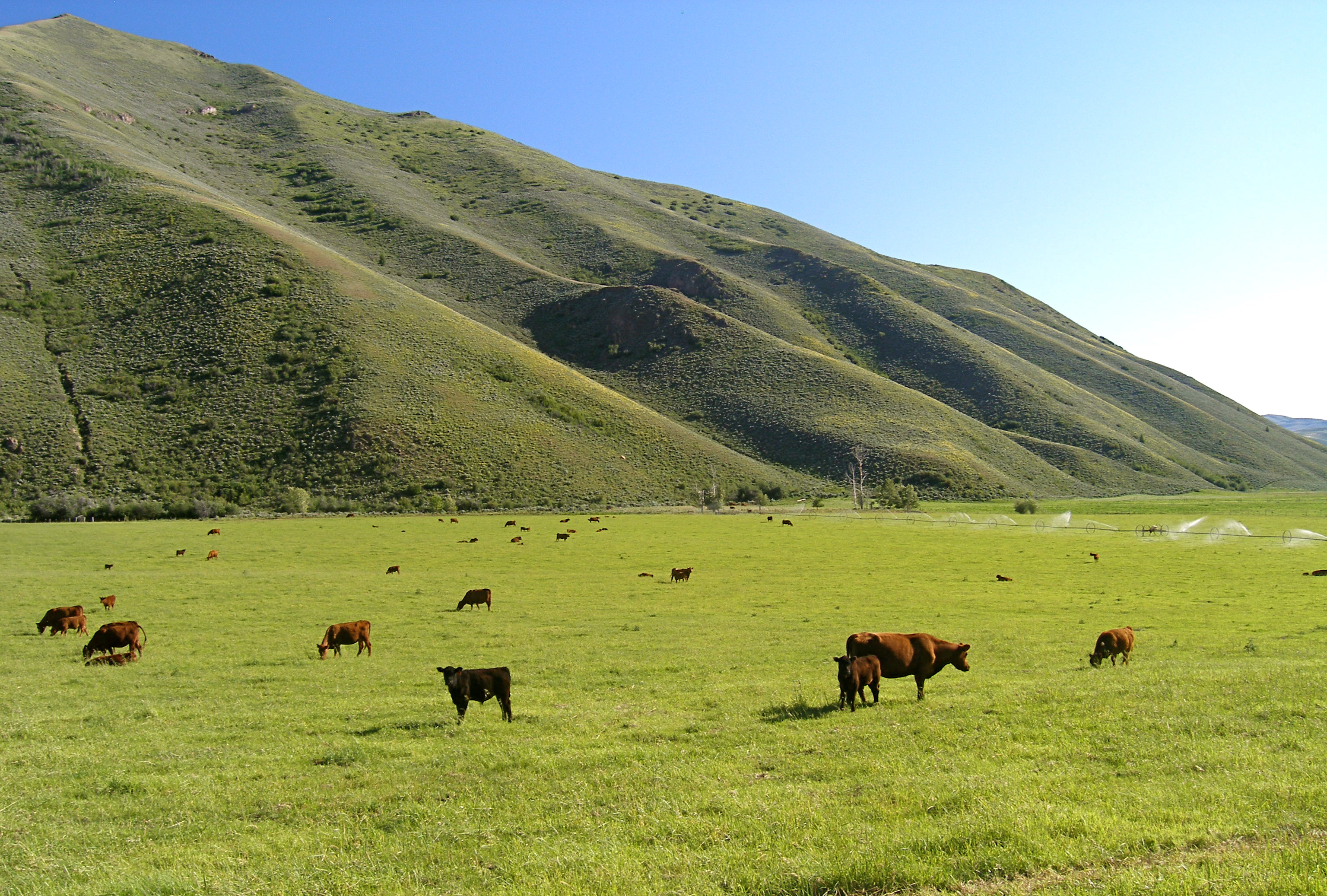 EE-DA-HO Ranch property picture 41 of 105