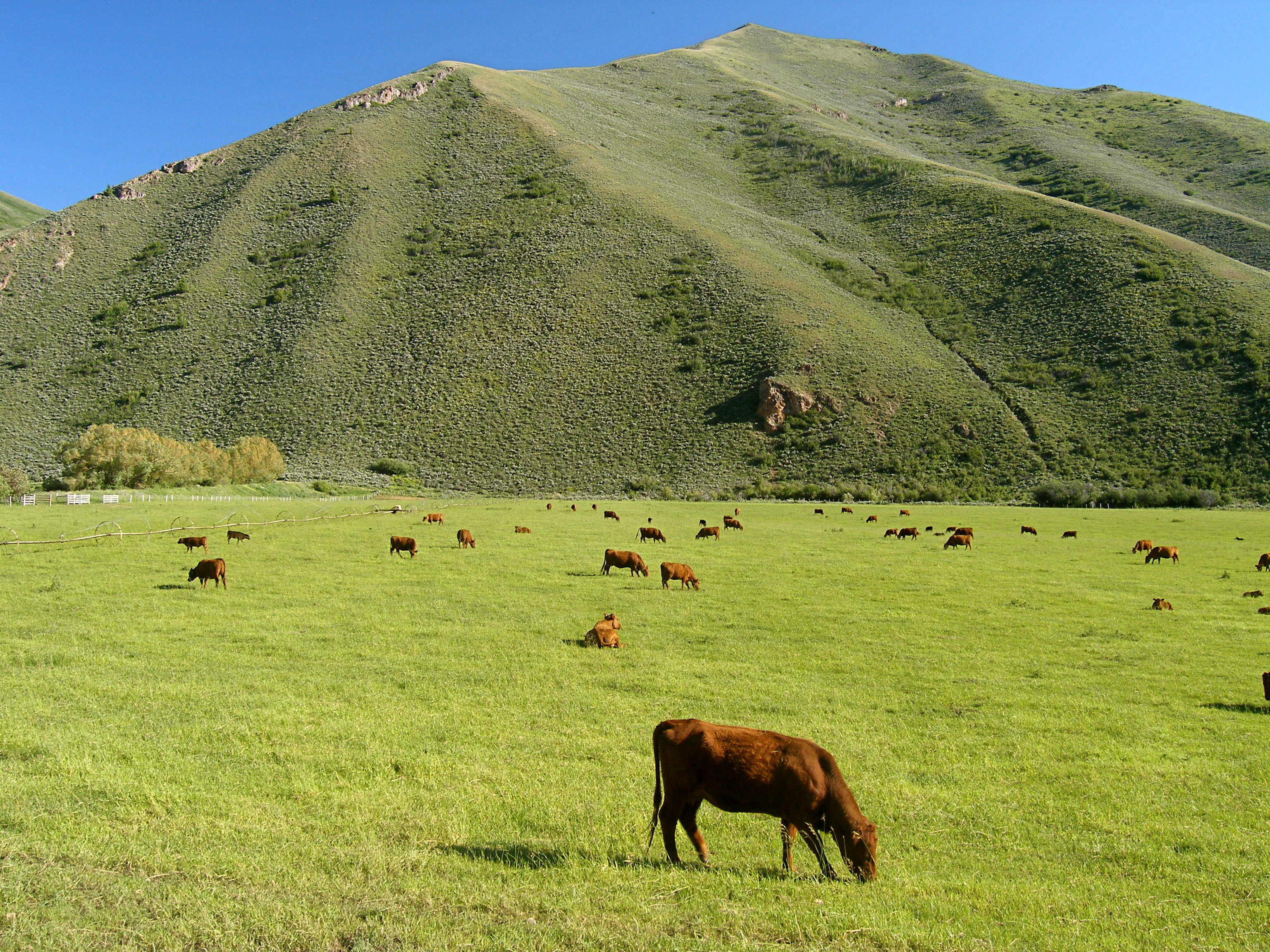 EE-DA-HO Ranch property picture 42 of 105