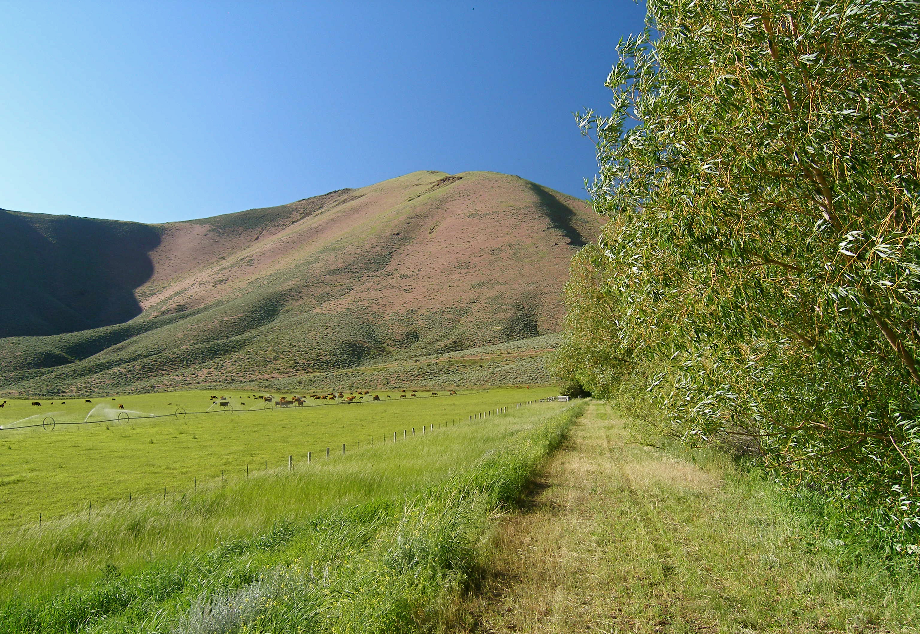 EE-DA-HO Ranch property picture 45 of 105