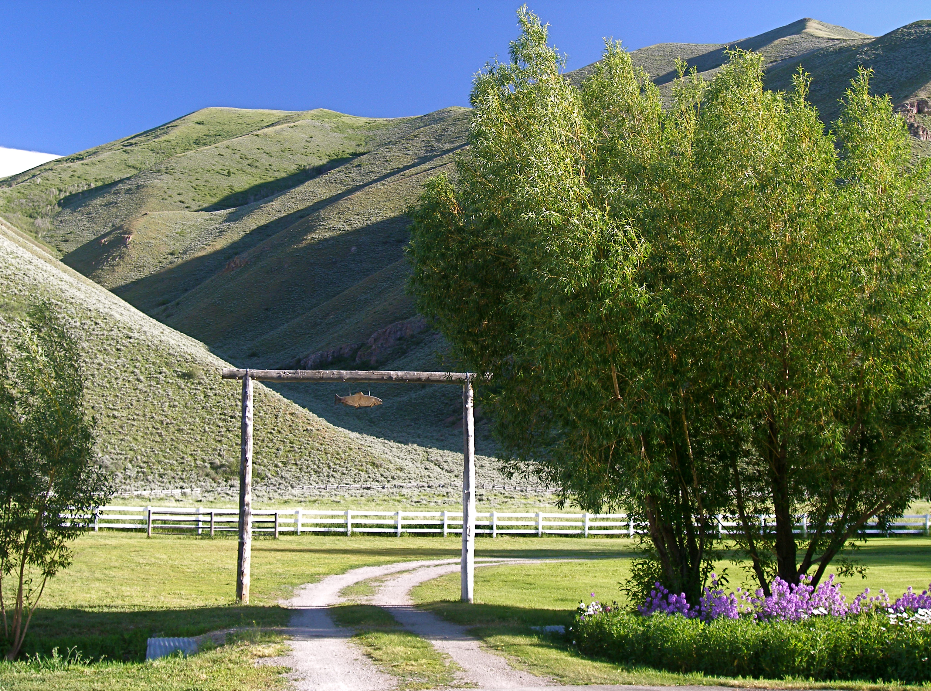 EE-DA-HO Ranch property picture 55 of 105