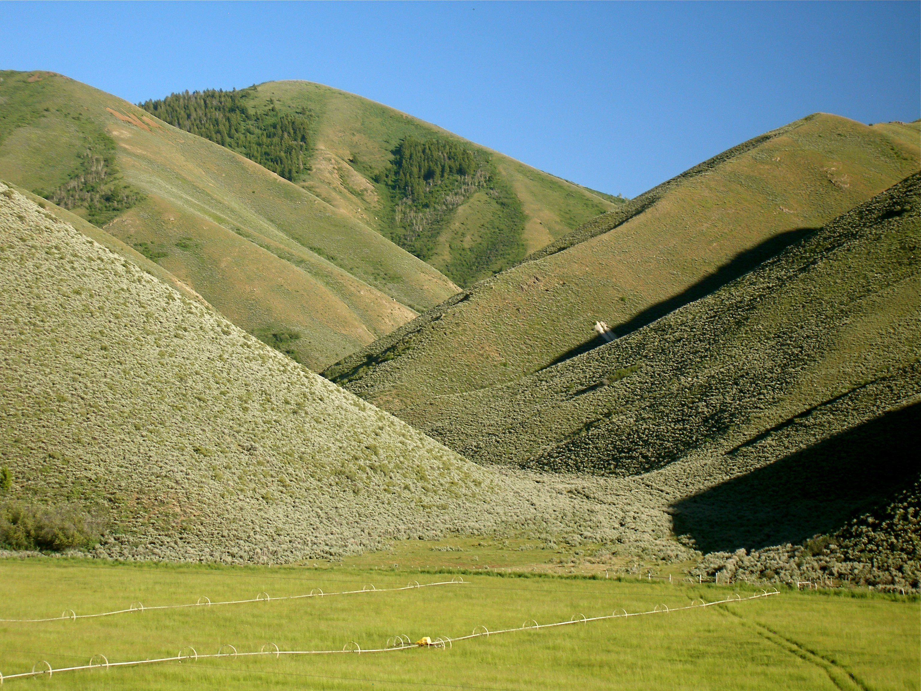 EE-DA-HO Ranch property picture 58 of 105
