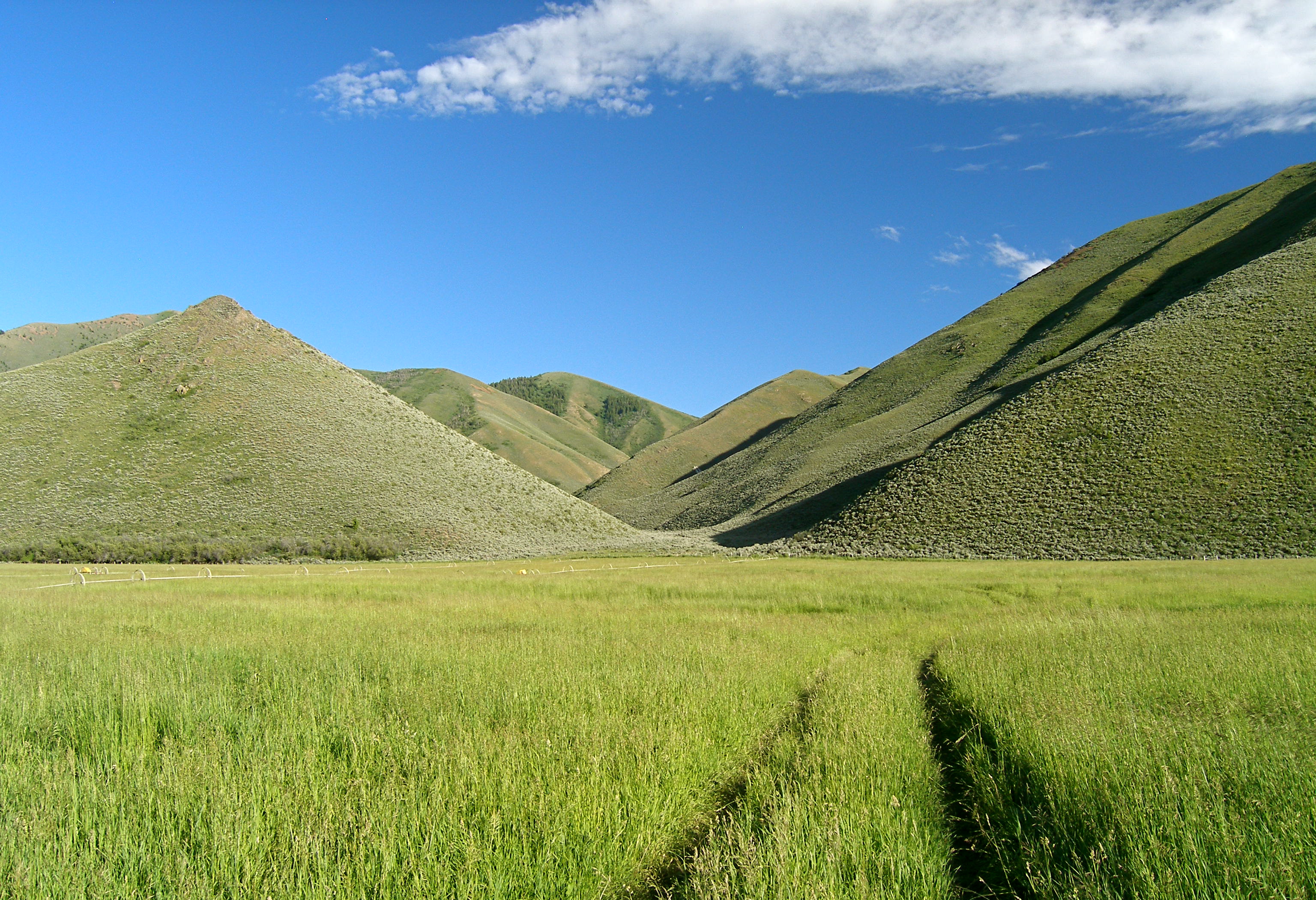 EE-DA-HO Ranch property picture 60 of 105