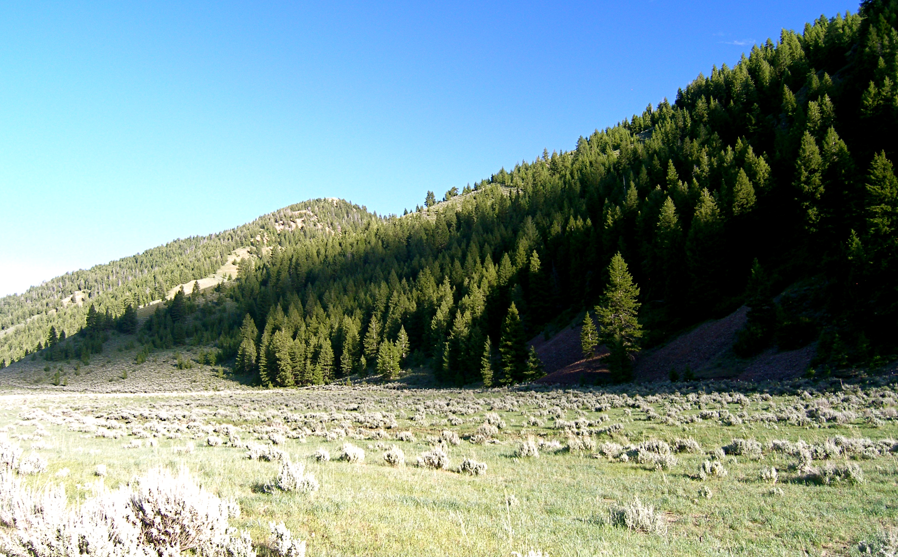 EE-DA-HO Ranch property picture 61 of 105