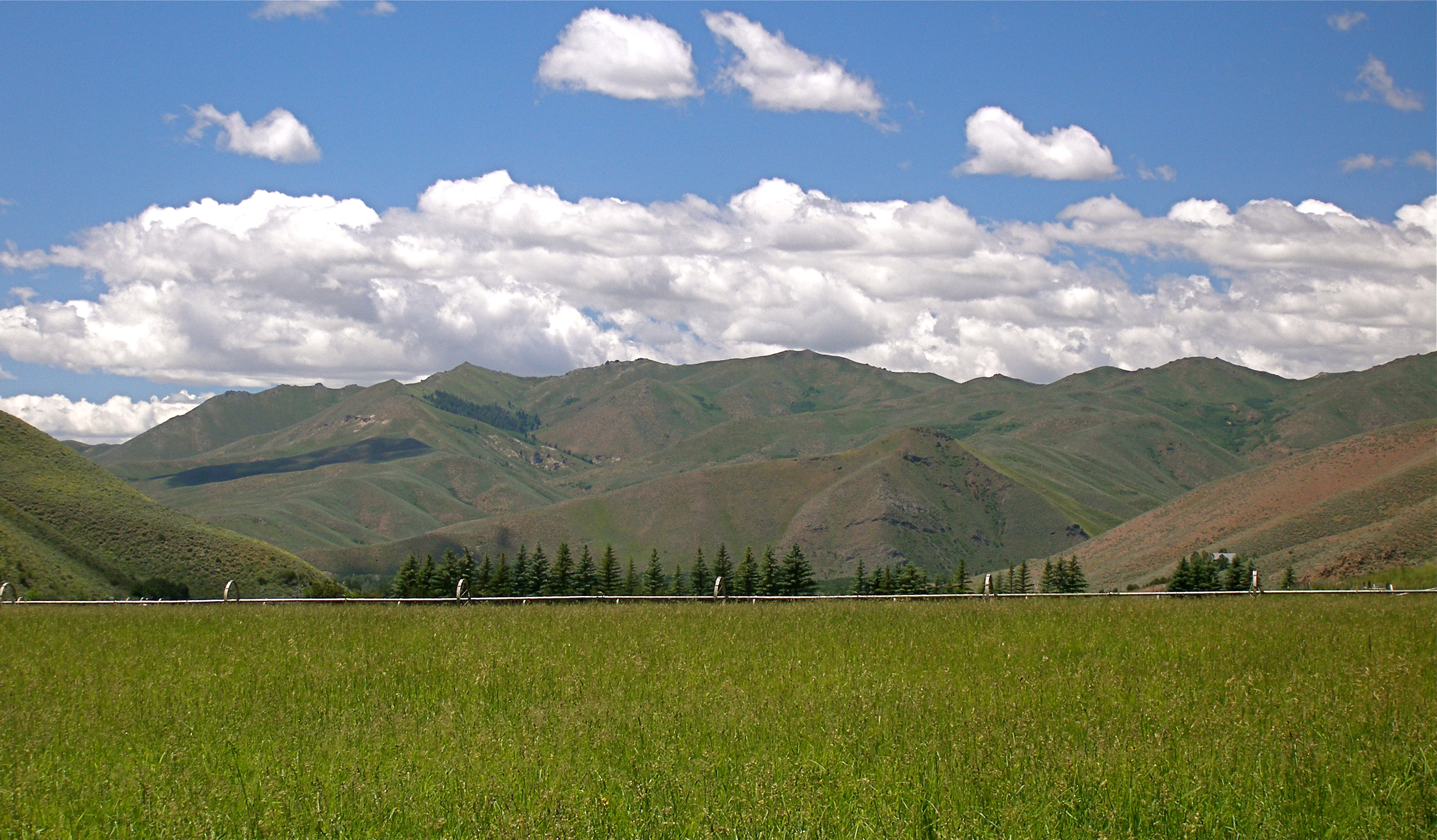 EE-DA-HO Ranch property picture 62 of 105