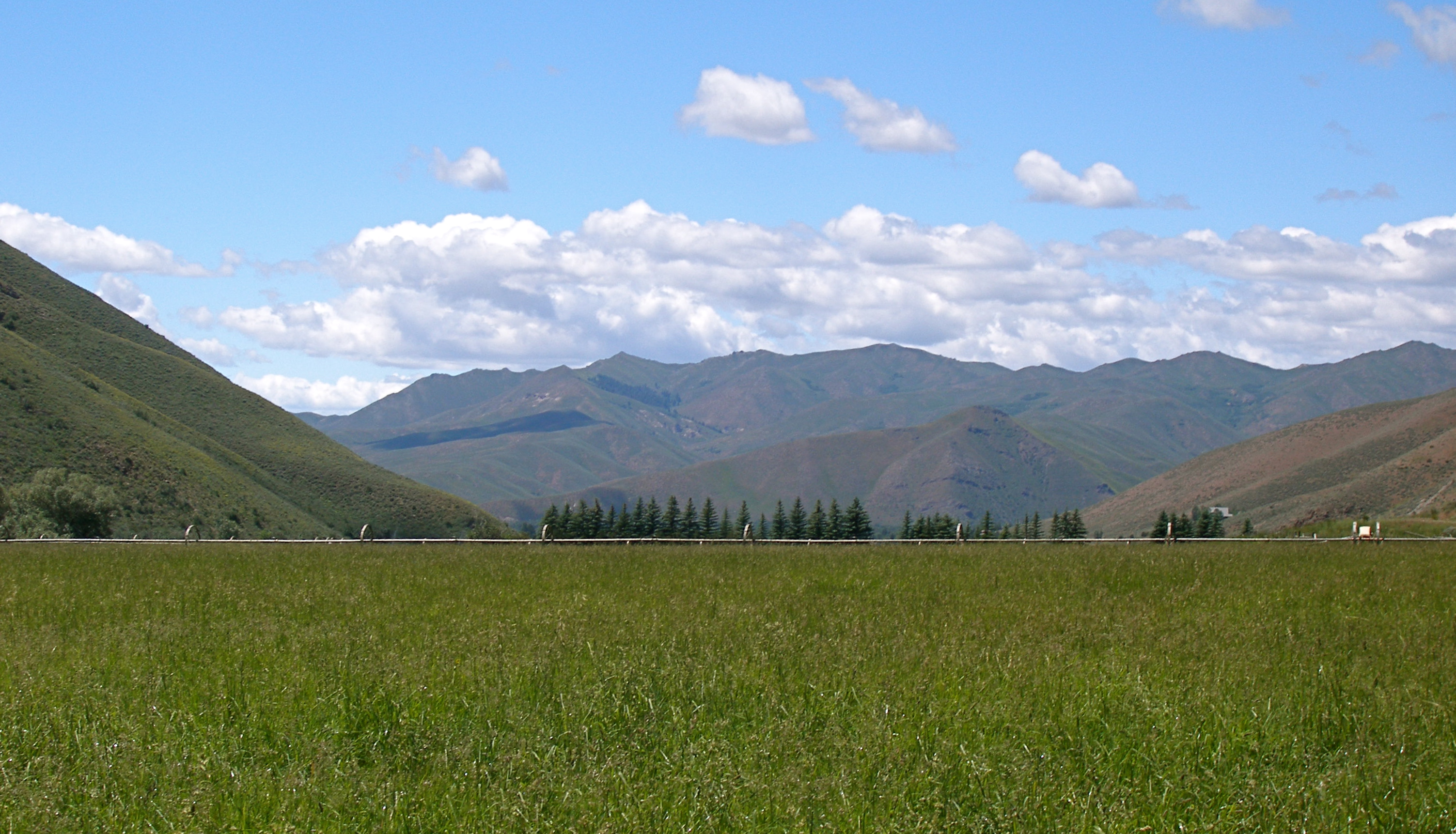 EE-DA-HO Ranch property picture 64 of 105