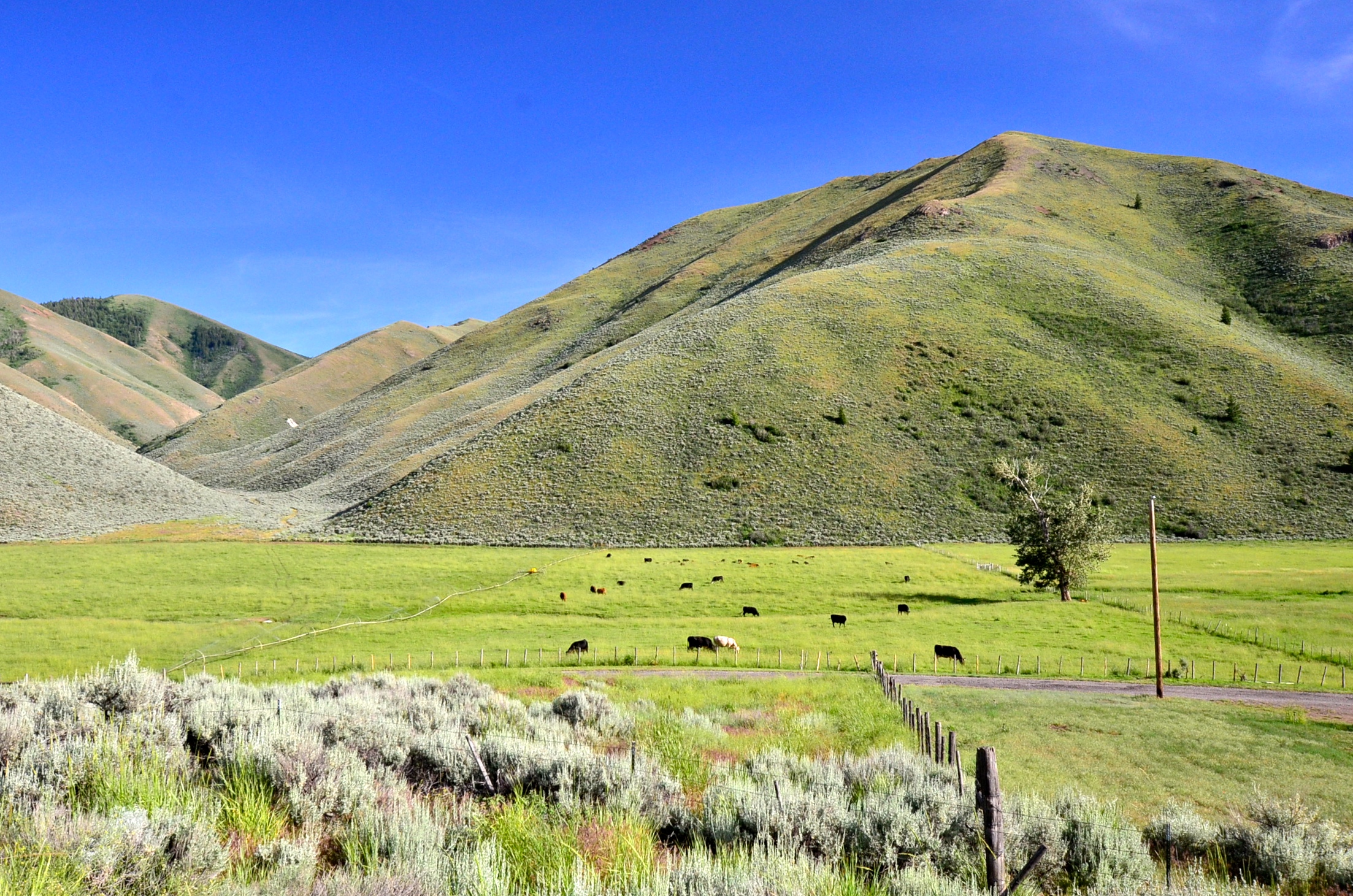 EE-DA-HO Ranch property picture 85 of 105