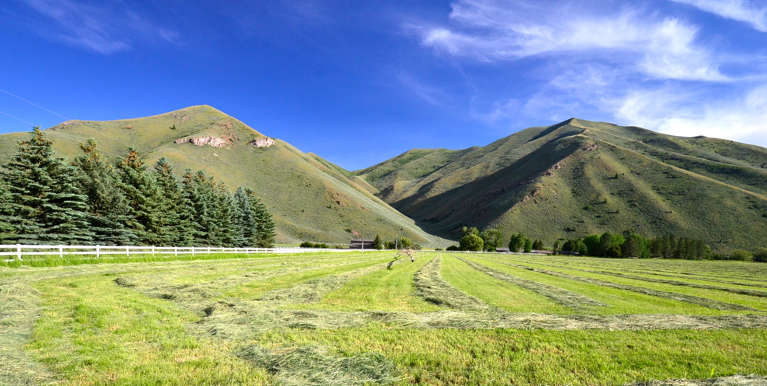 EE-DA-HO Ranch property picture 87 of 105