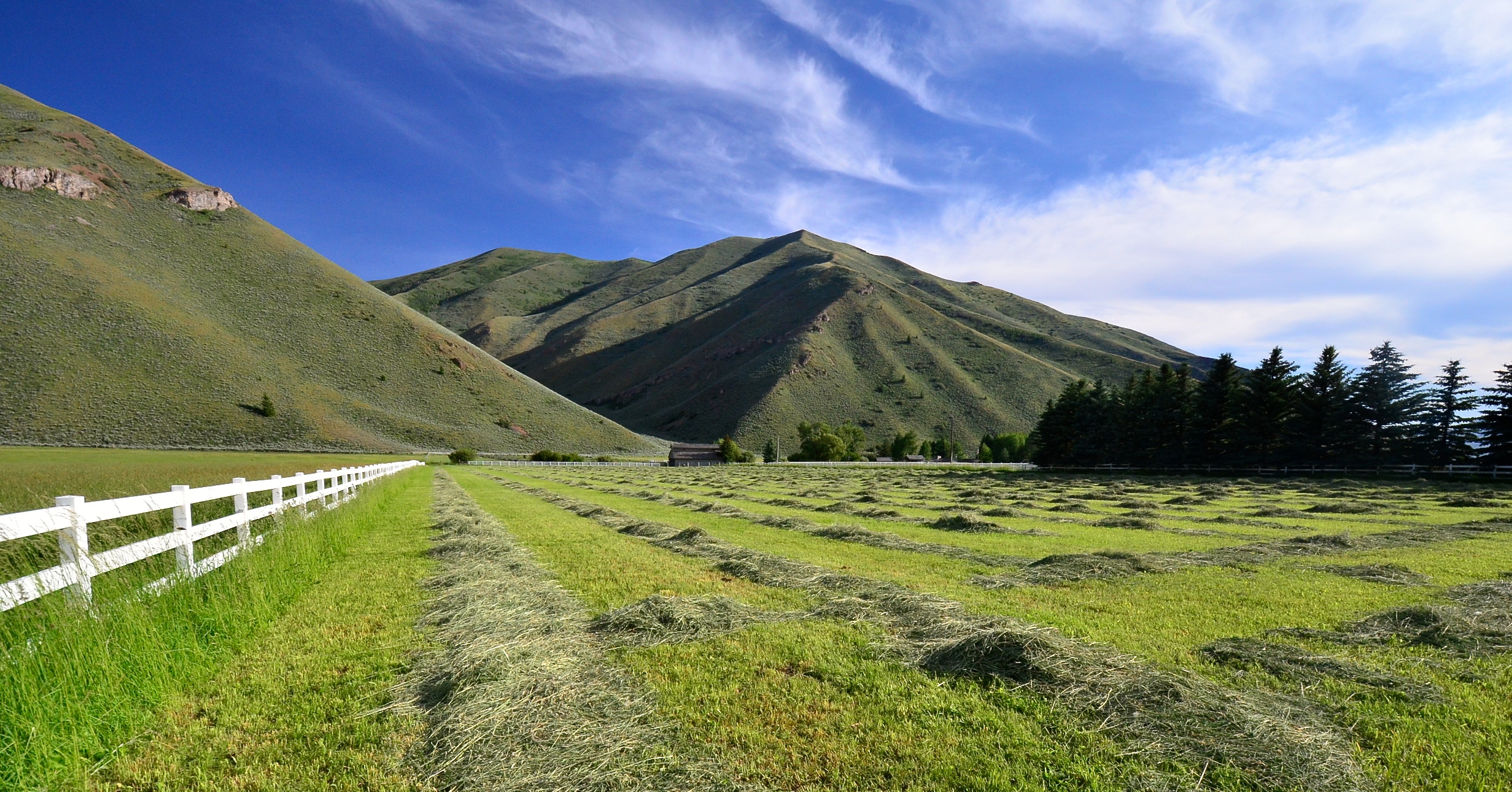 EE-DA-HO Ranch property picture 92 of 105