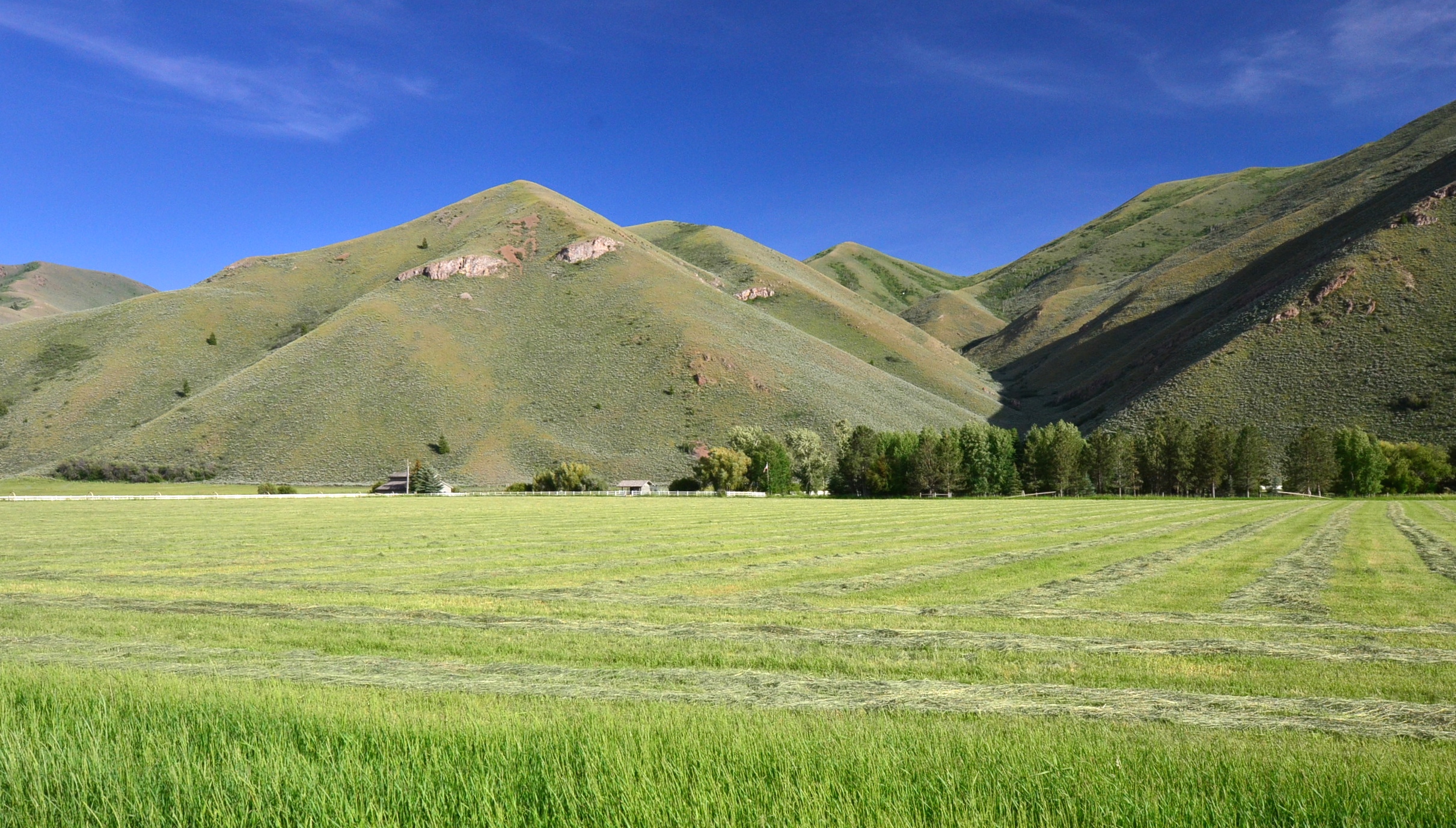 EE-DA-HO Ranch property picture 93 of 105