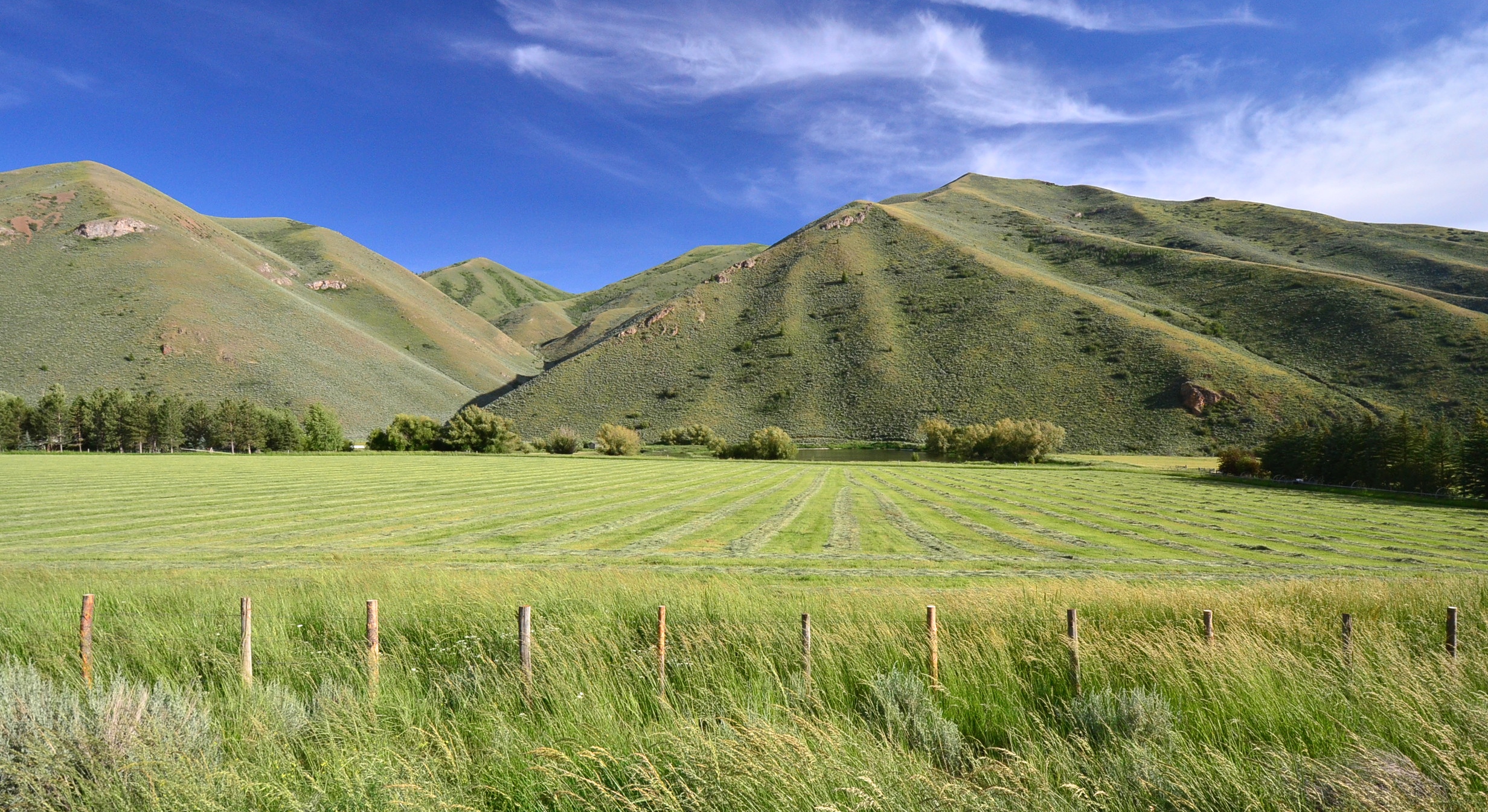 EE-DA-HO Ranch property picture 89 of 105