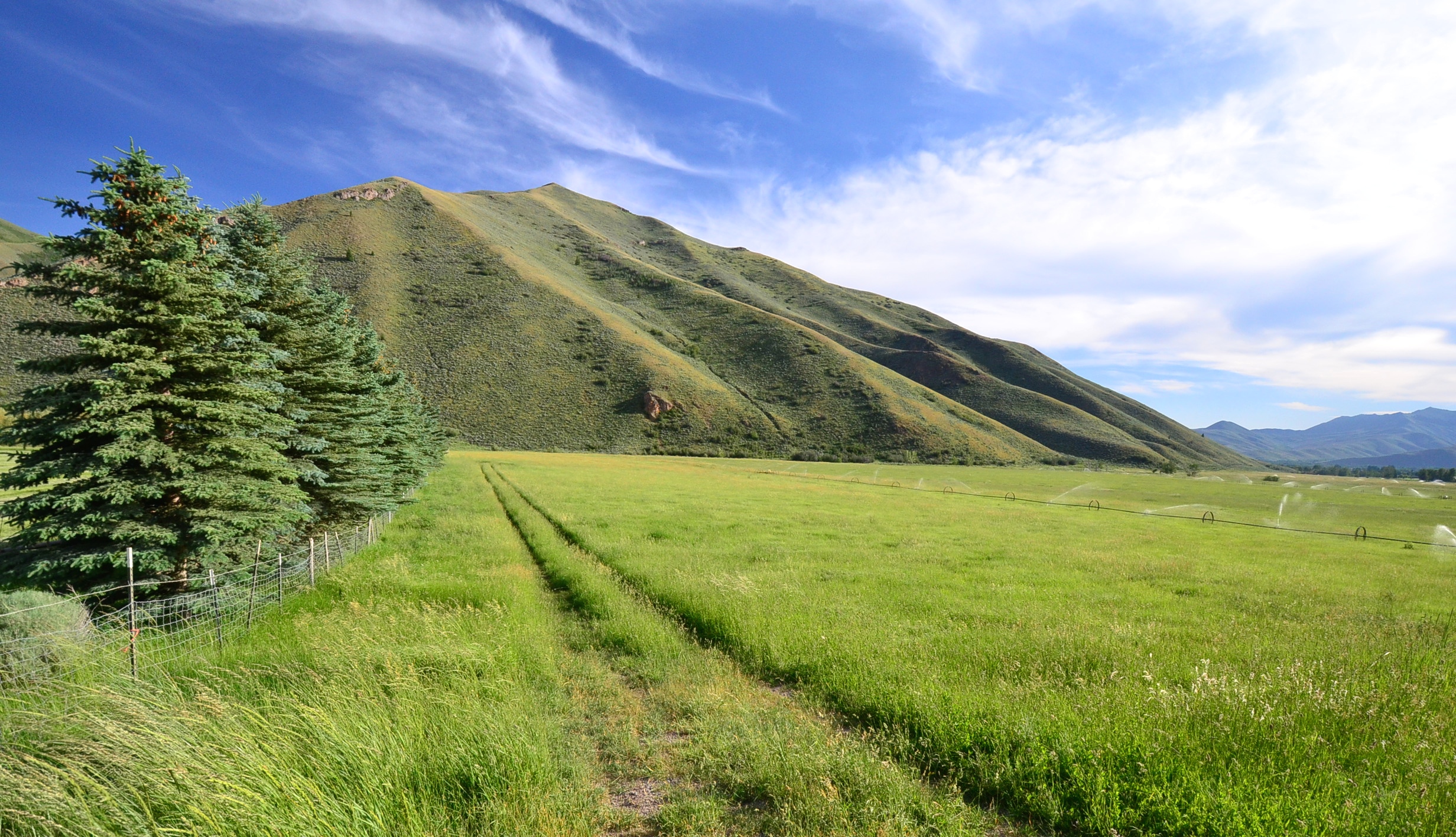 EE-DA-HO Ranch property picture 94 of 105
