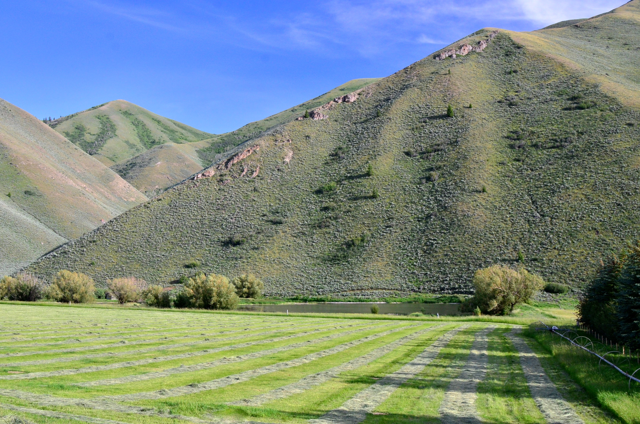EE-DA-HO Ranch property picture 95 of 105