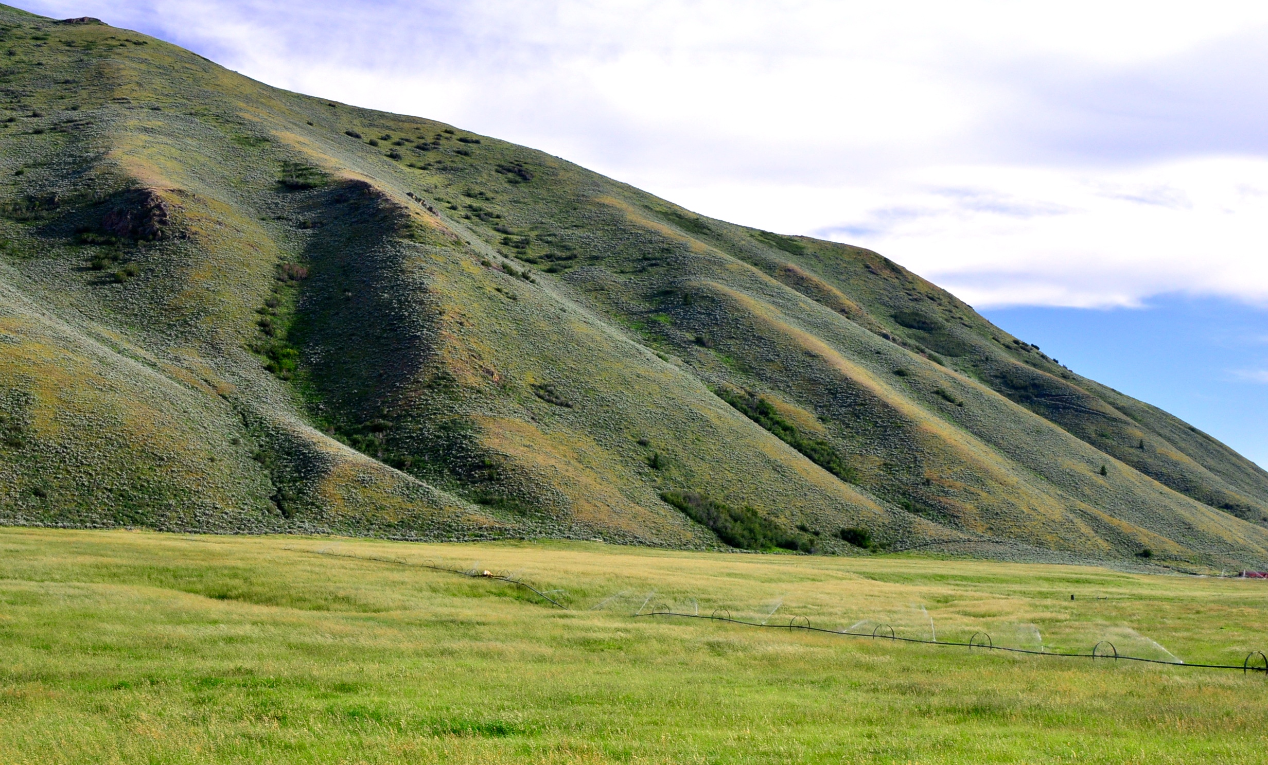 EE-DA-HO Ranch property picture 97 of 105