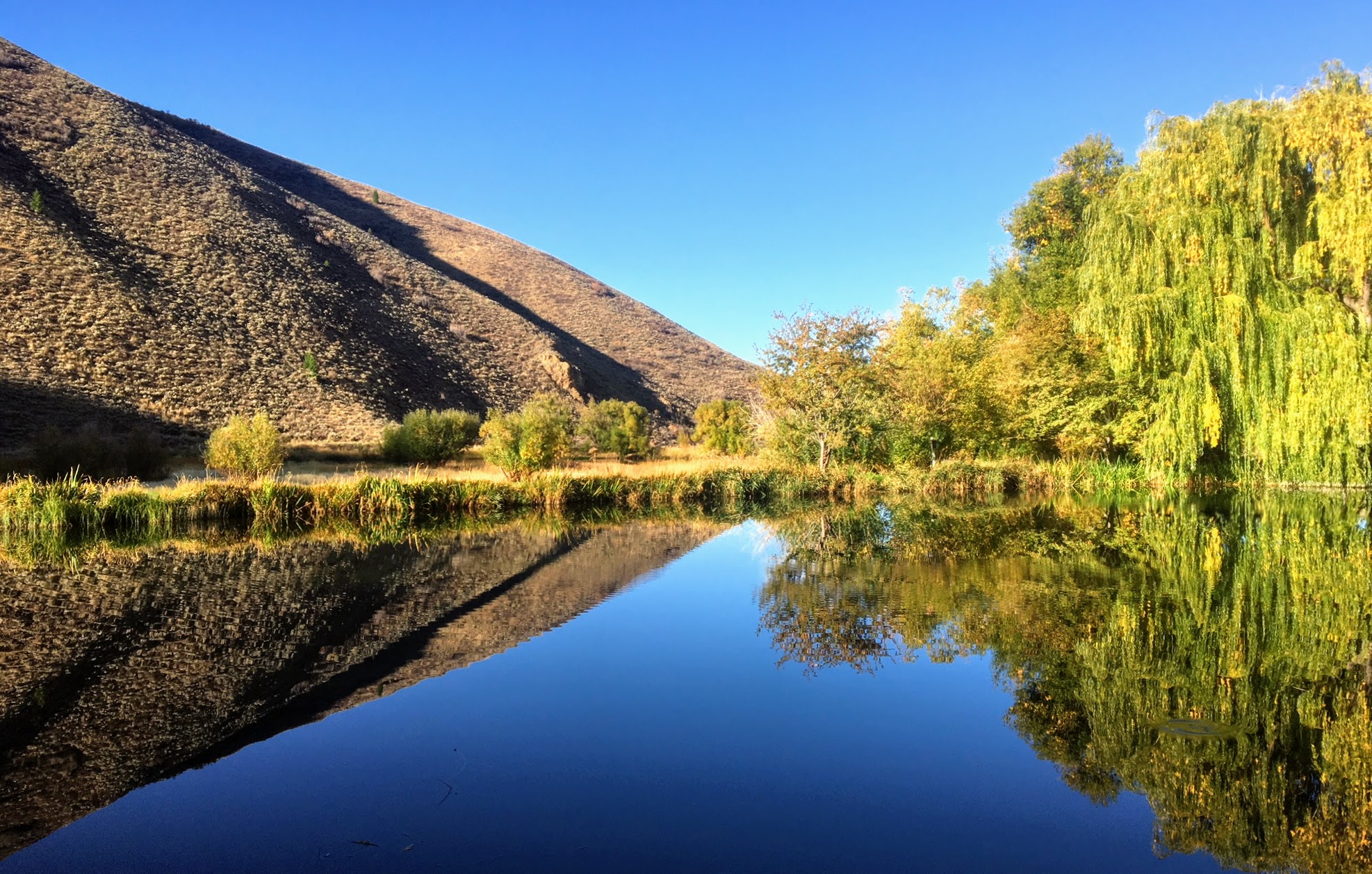 EE-DA-HO Ranch property picture 20 of 105