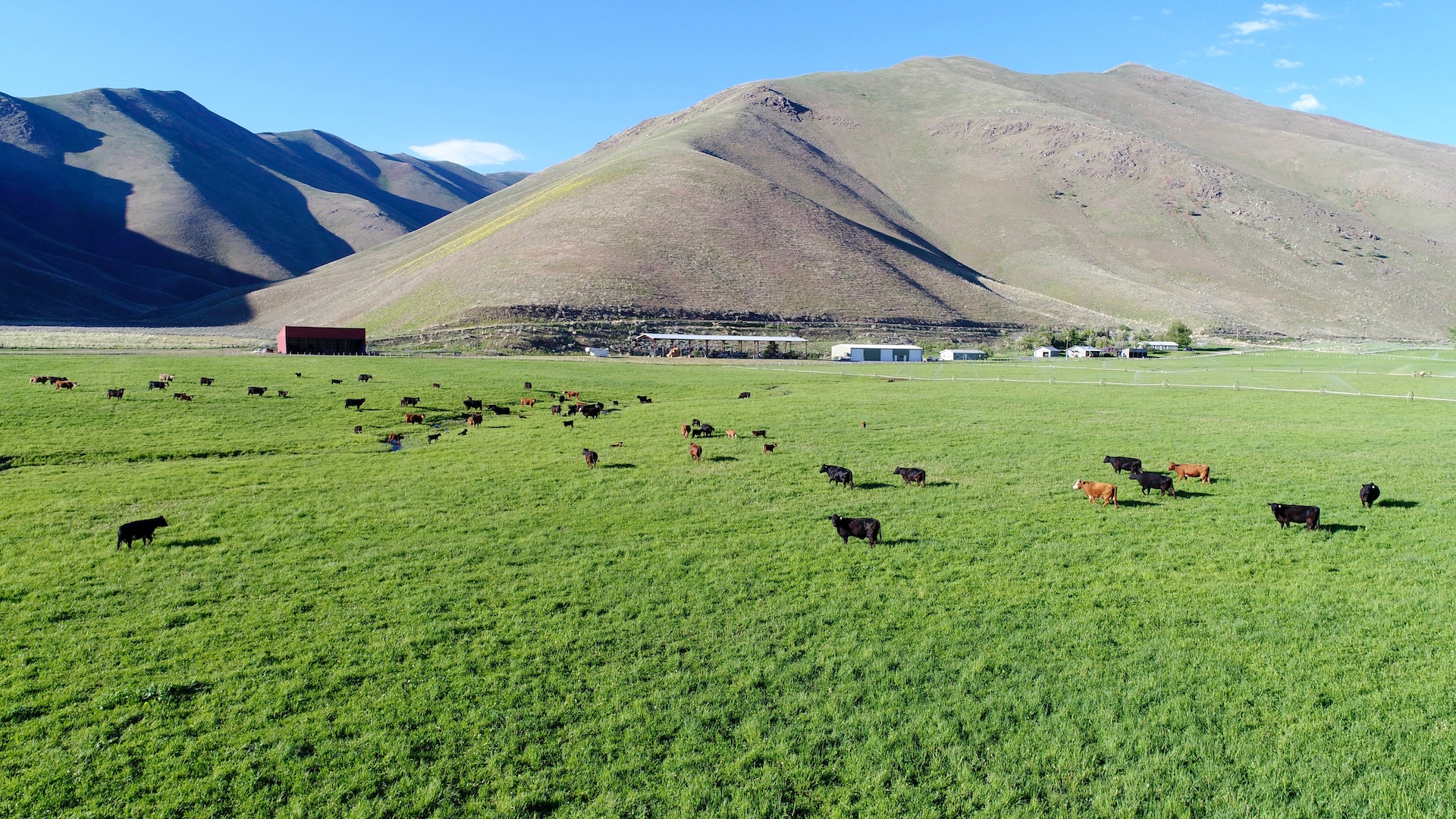 EE-DA-HO Ranch property picture 101 of 105