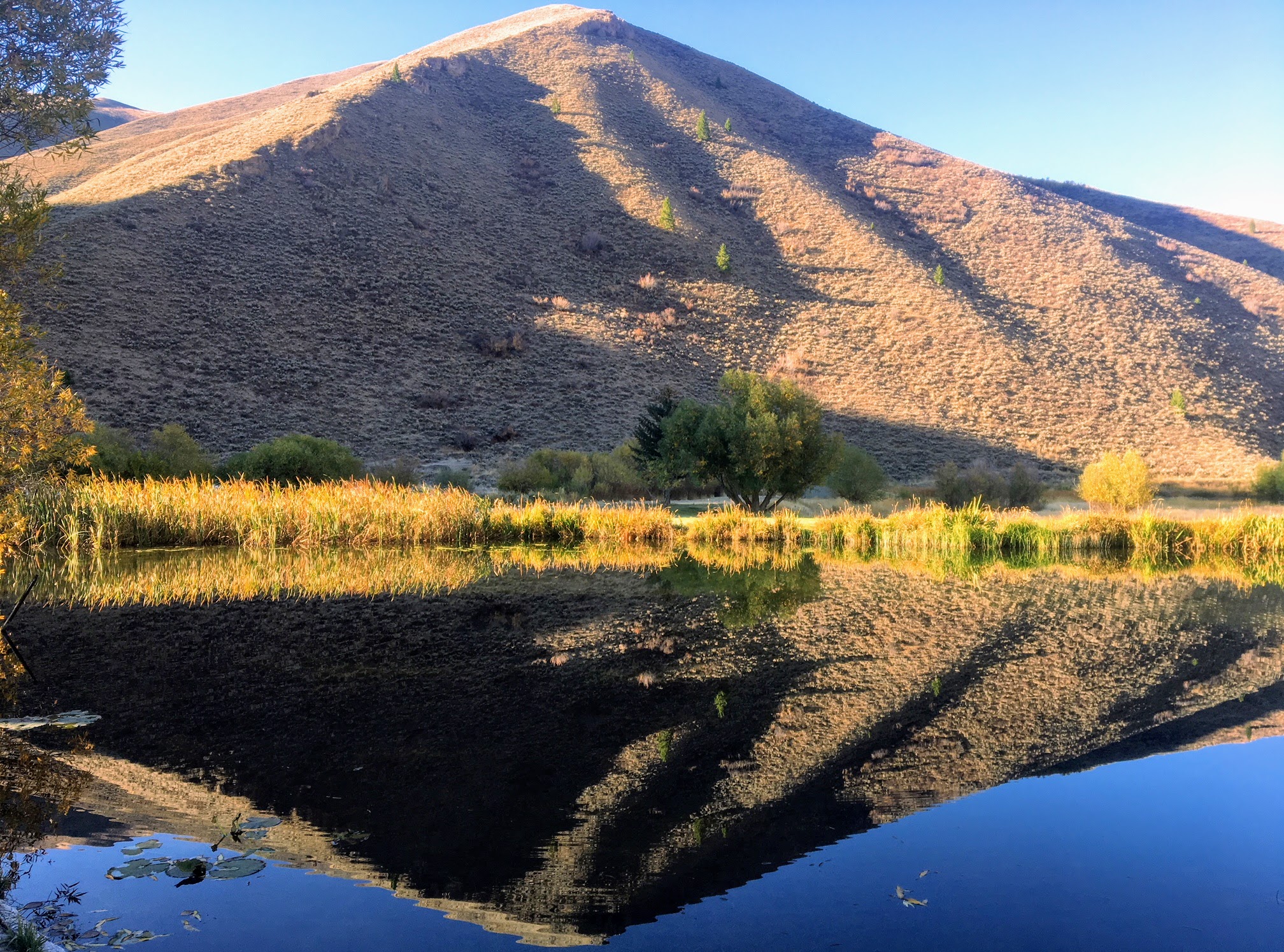 EE-DA-HO Ranch property picture 22 of 105