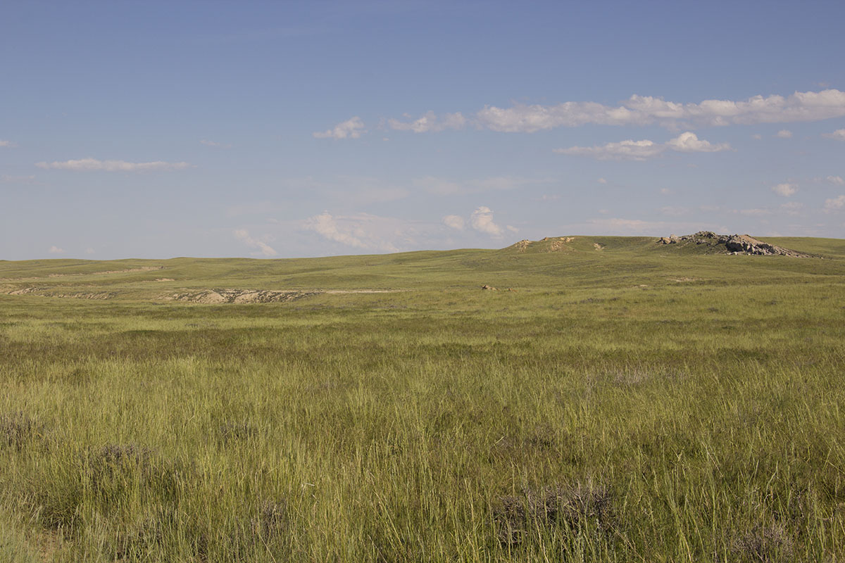 Reimler Ranch property picture 29 of 34