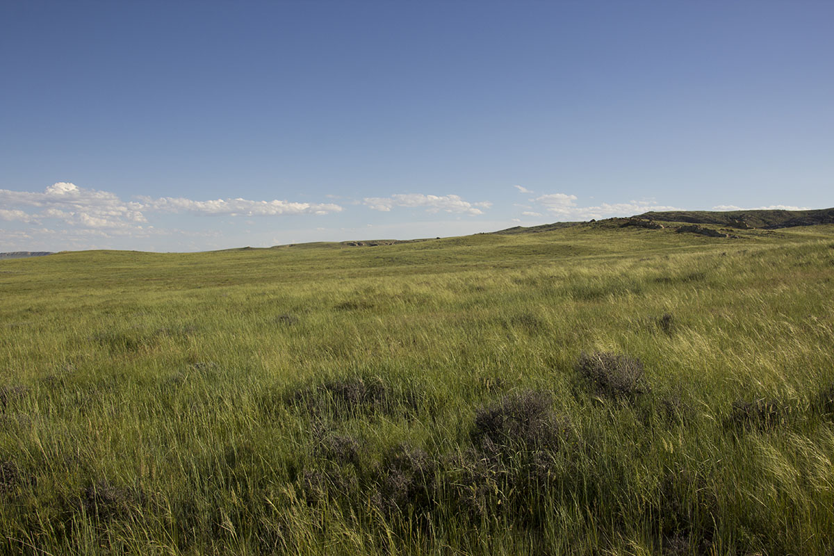 Reimler Ranch property picture 28 of 34