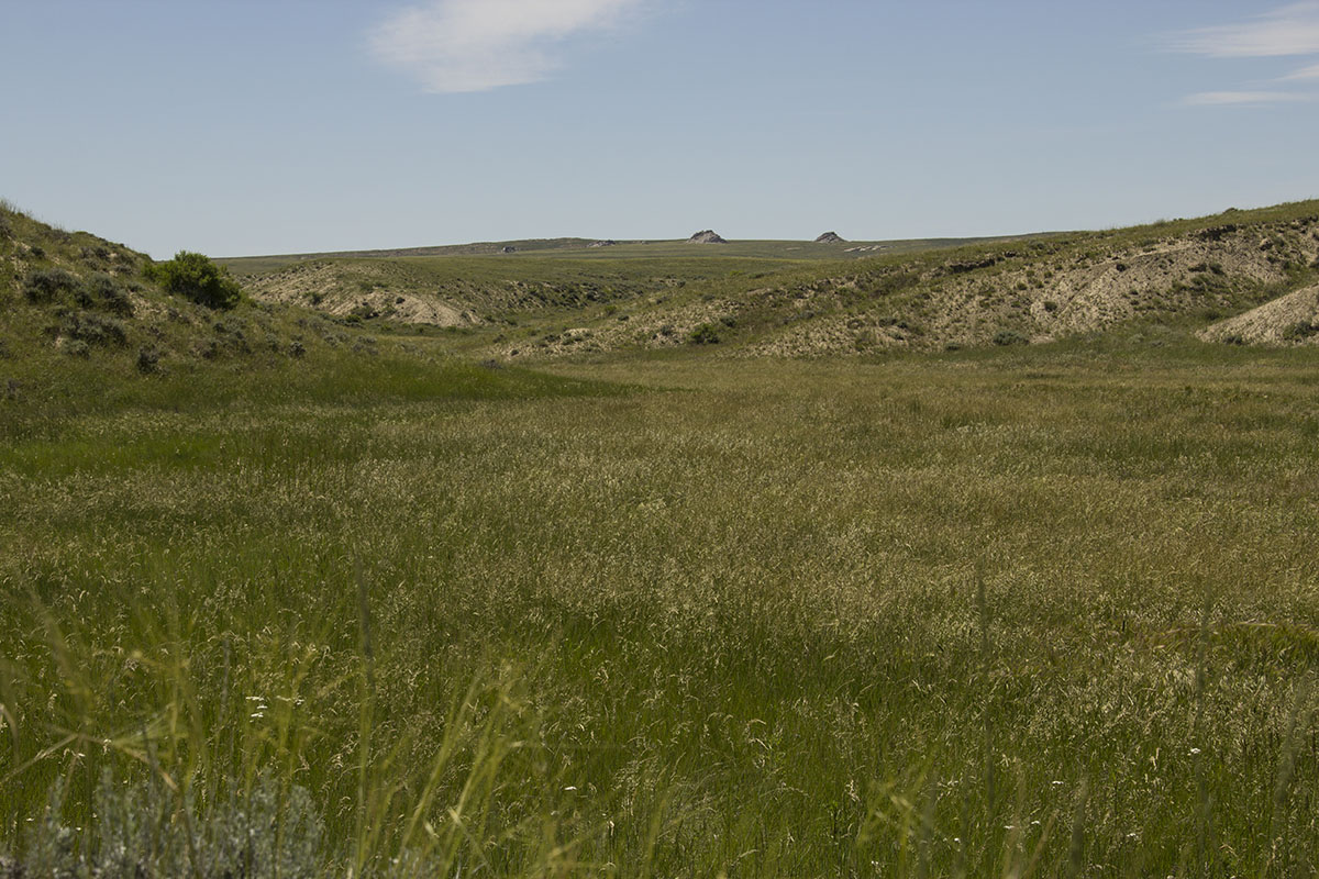 Reimler Ranch property picture 25 of 34