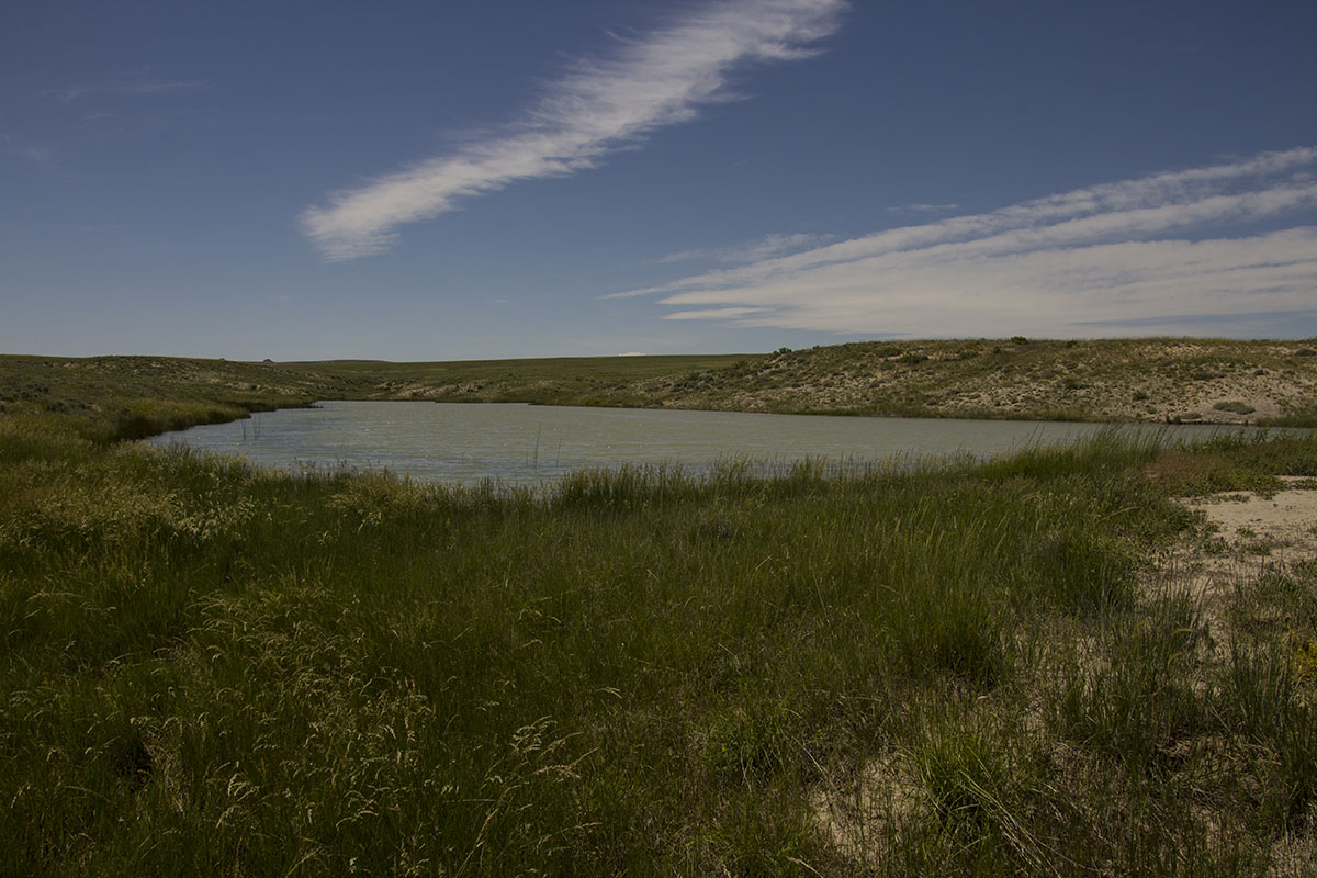 Reimler Ranch property picture 32 of 34