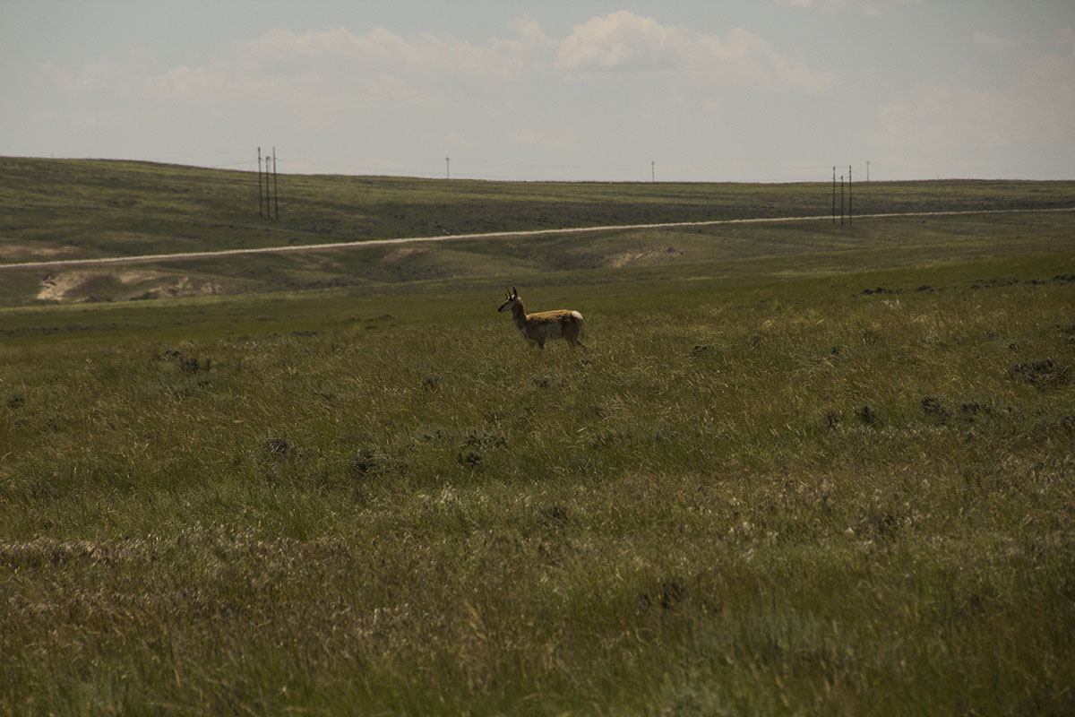 Reimler Ranch property picture 23 of 34