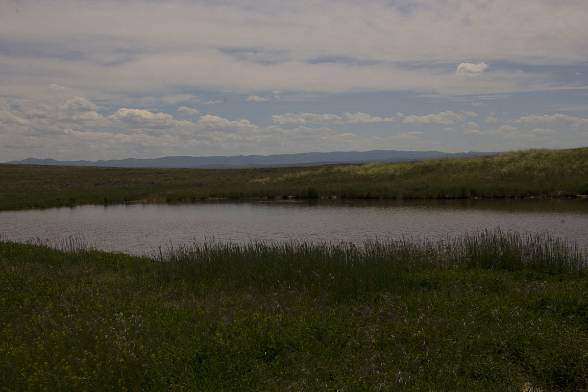 Reimler Ranch property picture 21 of 34