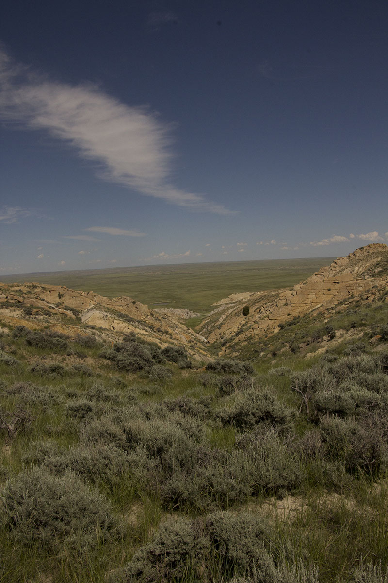Reimler Ranch property picture 19 of 34