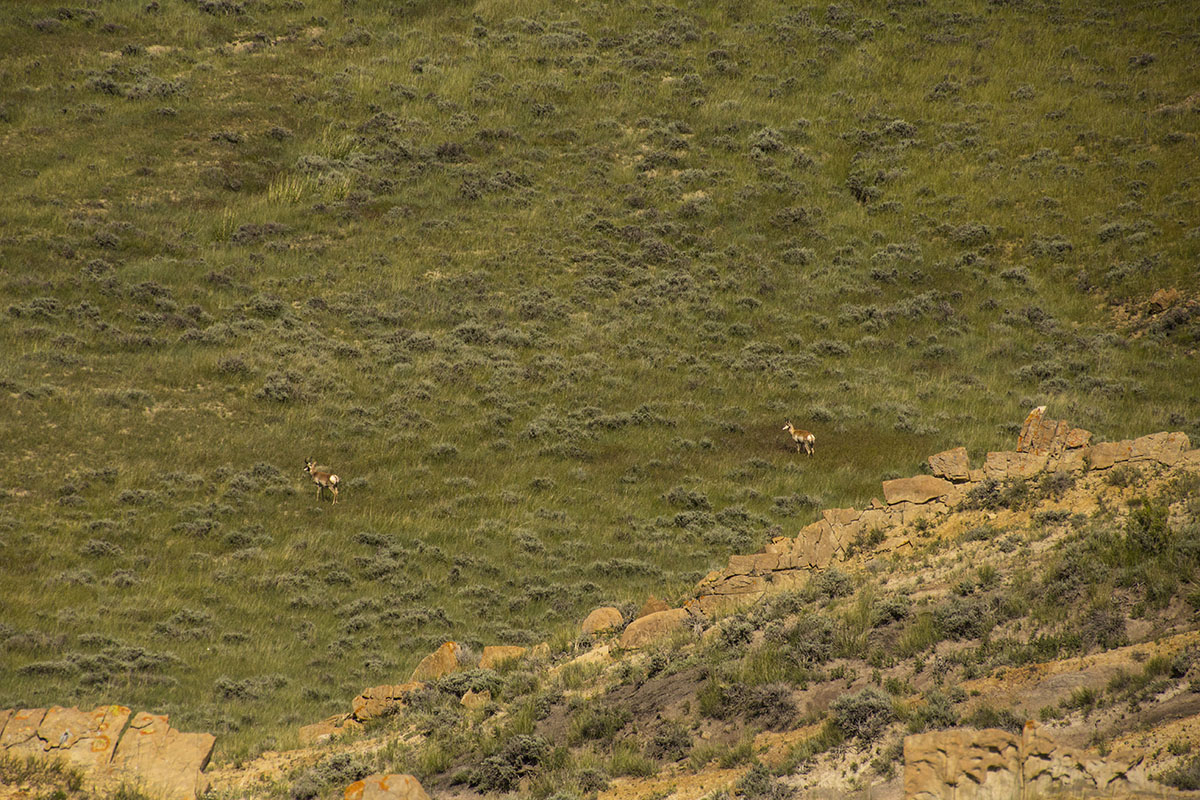 Reimler Ranch property picture 18 of 34