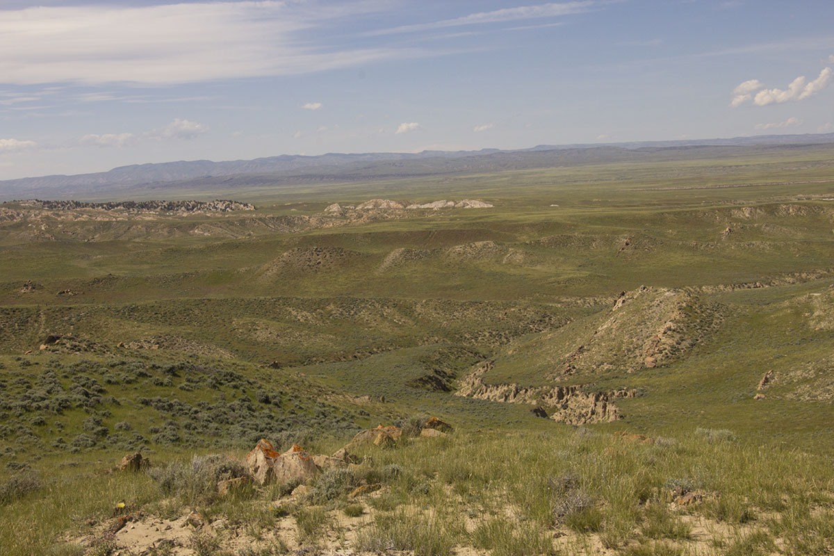 Reimler Ranch property picture 17 of 34