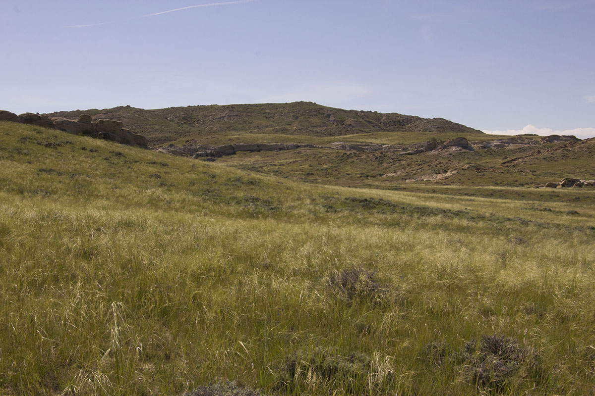 Reimler Ranch property picture 15 of 34