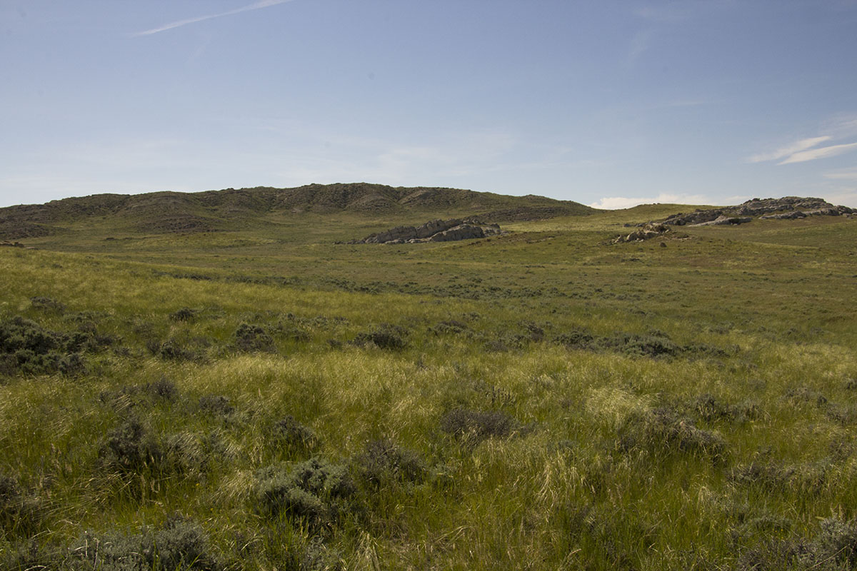 Reimler Ranch property picture 13 of 34