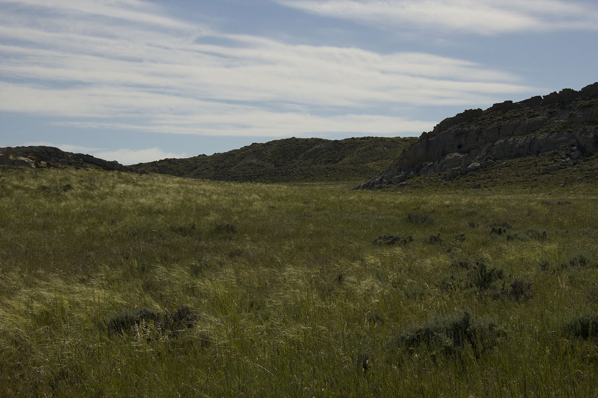 Reimler Ranch property picture 12 of 34