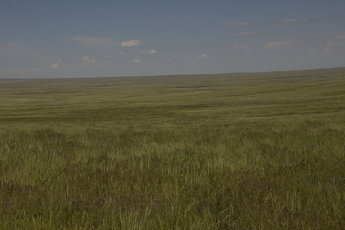 Reimler Ranch property picture 11 of 34