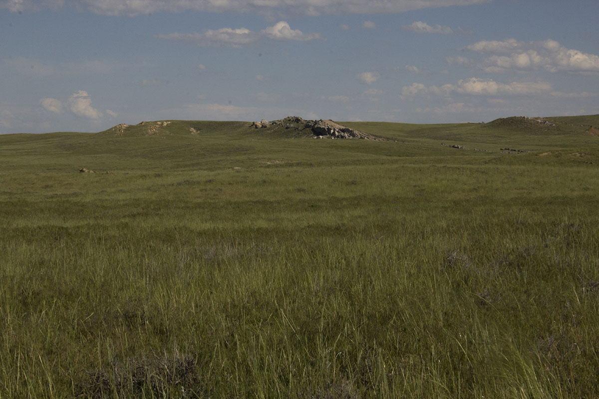 Reimler Ranch property picture 6 of 34