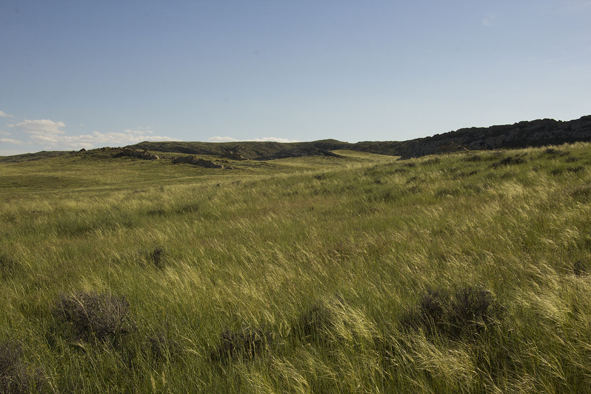 Reimler Ranch property picture 5 of 34