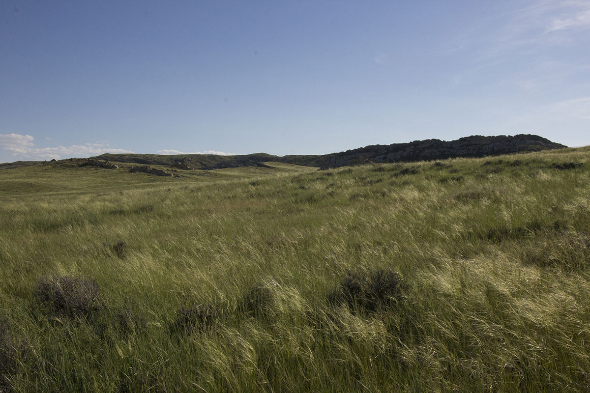 Reimler Ranch property picture 3 of 34