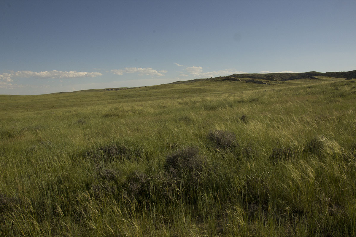 Reimler Ranch property picture 2 of 34