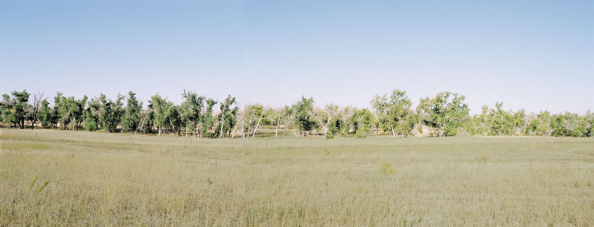 Bradbury Bijou Creek Ranch property picture 16 of 24