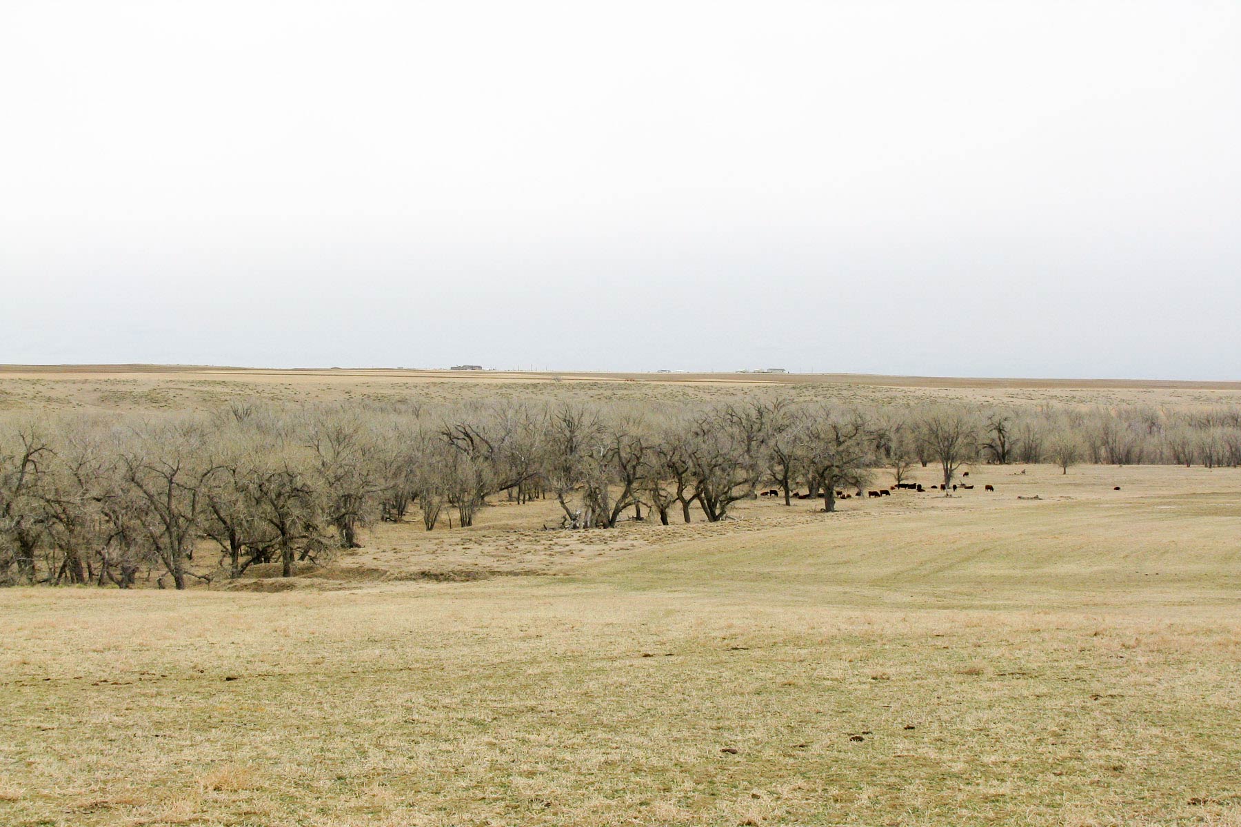 Bradbury Bijou Creek Ranch property picture 21 of 24