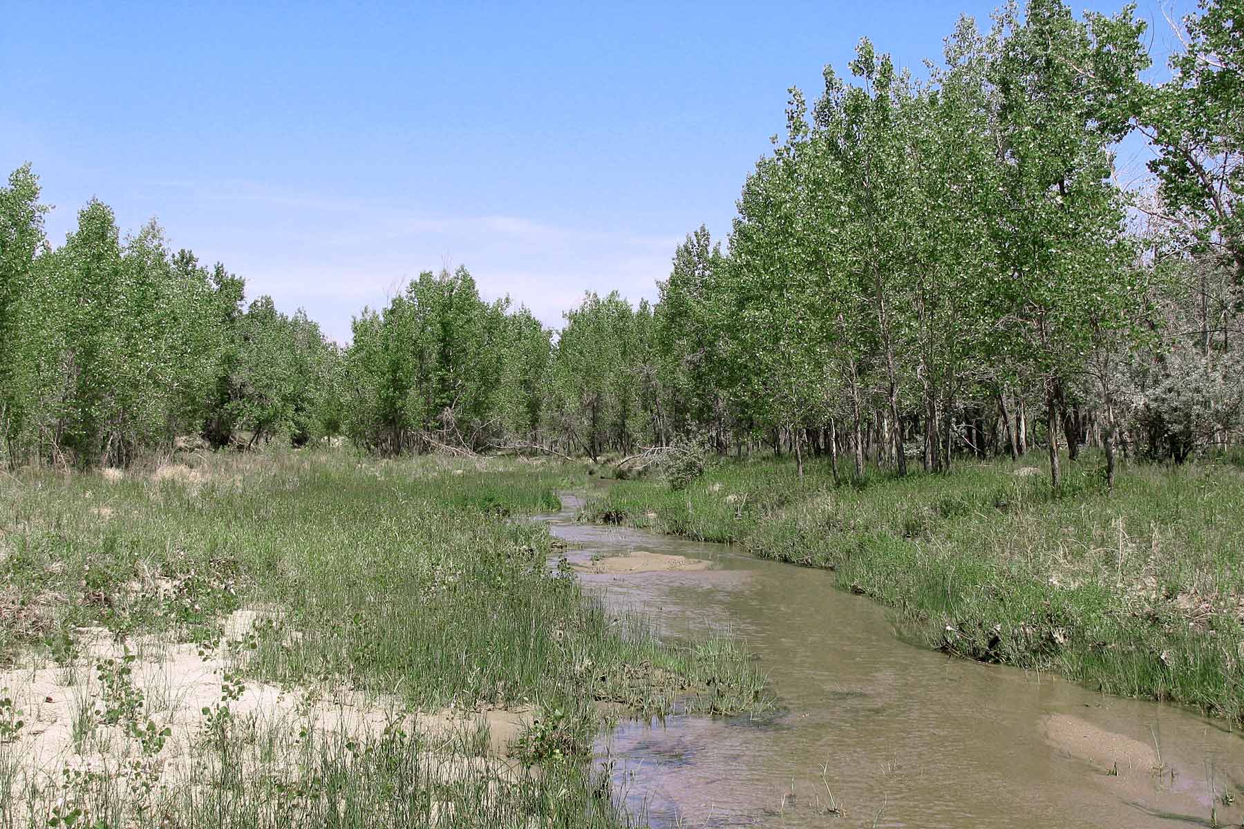 Bradbury Bijou Creek Ranch property picture 2 of 24