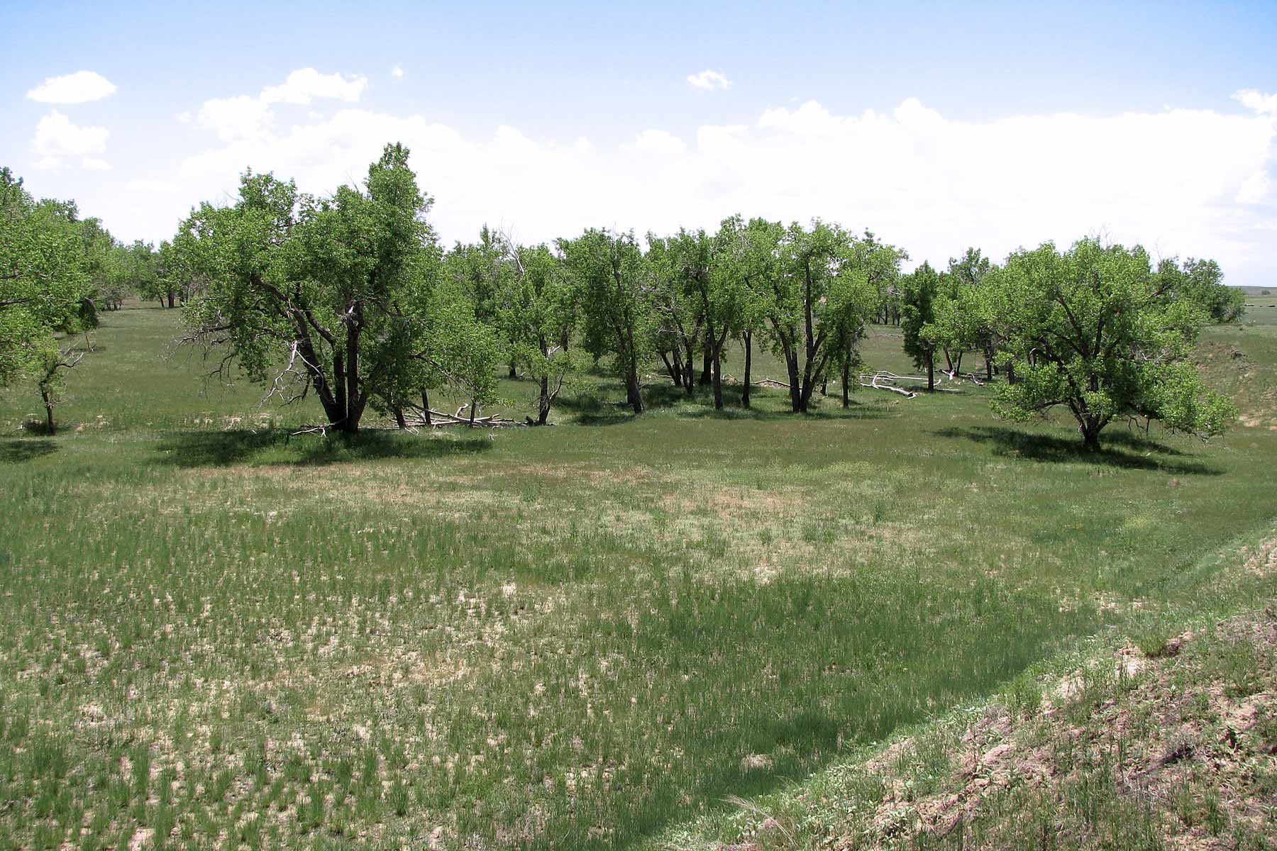 Bradbury Bijou Creek Ranch property picture 4 of 24
