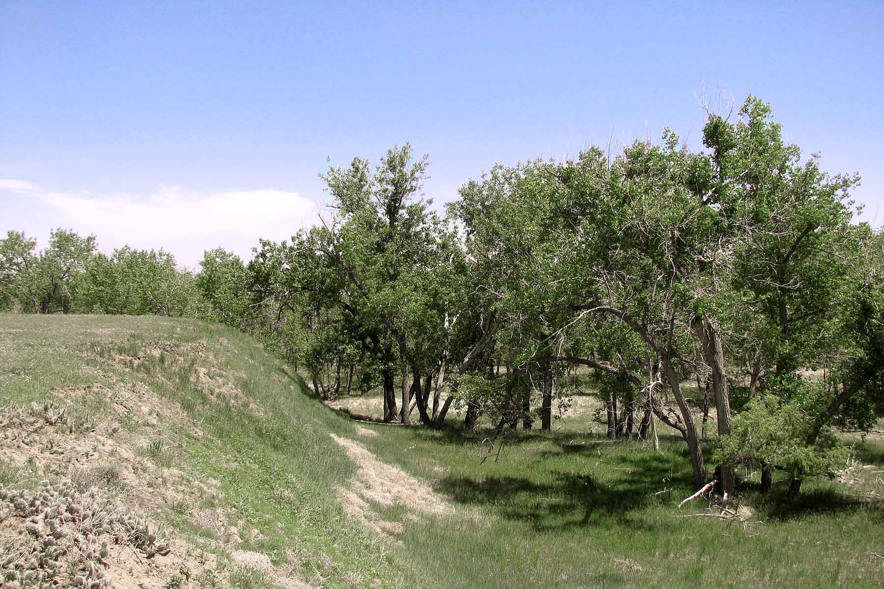 Bradbury Bijou Creek Ranch property picture 5 of 24