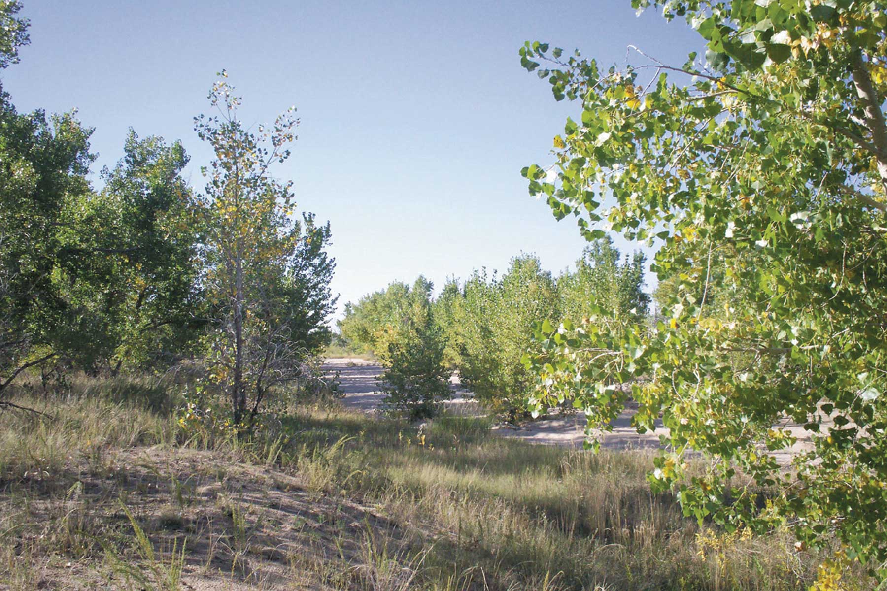 Bradbury Bijou Creek Ranch property picture 6 of 24