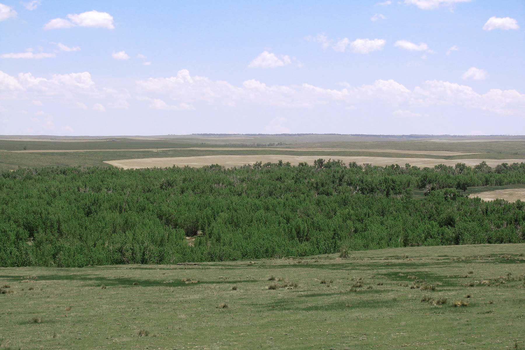 Bradbury Bijou Creek Ranch property picture 12 of 24