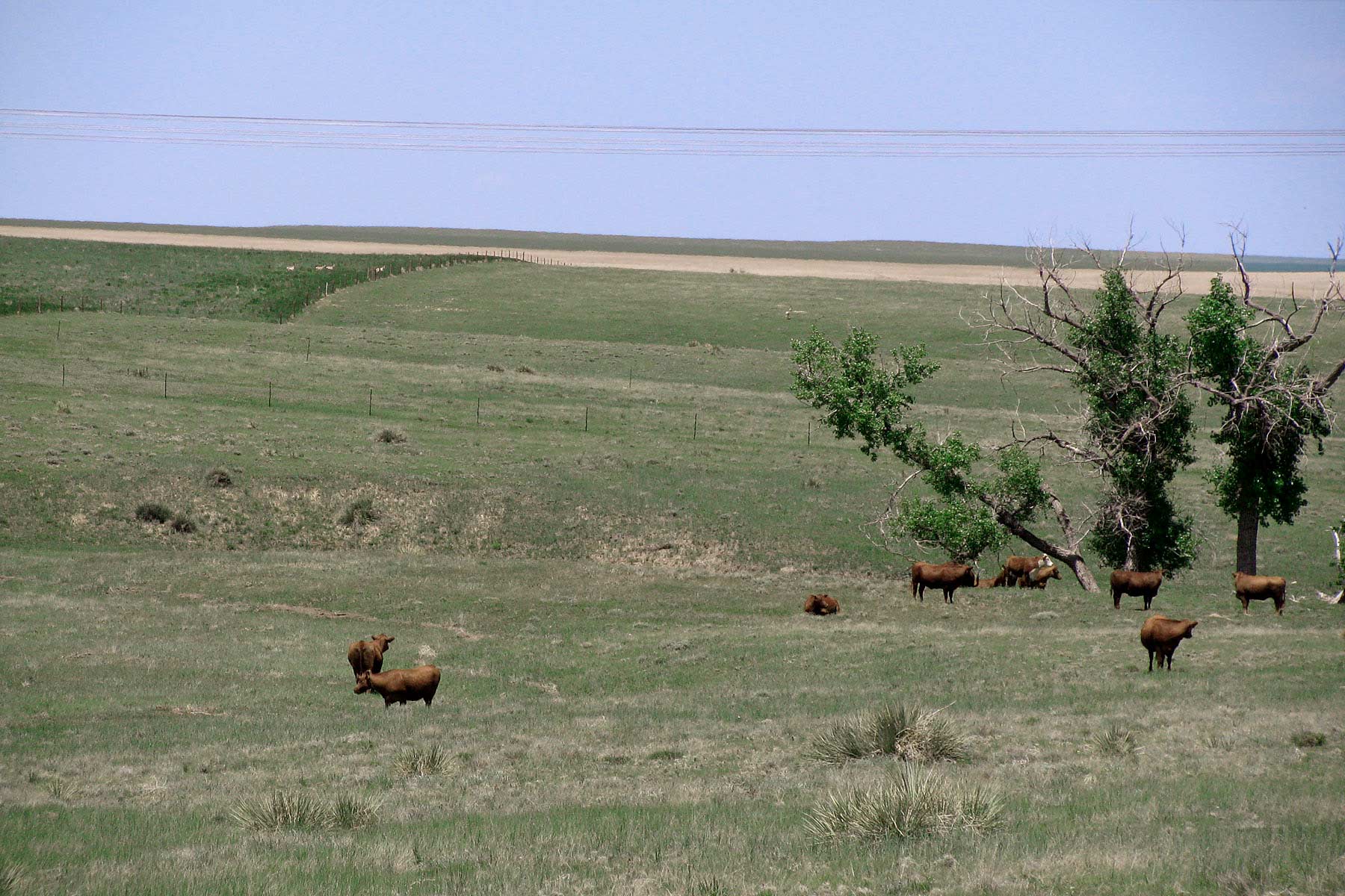 Bradbury Bijou Creek Ranch property picture 11 of 24