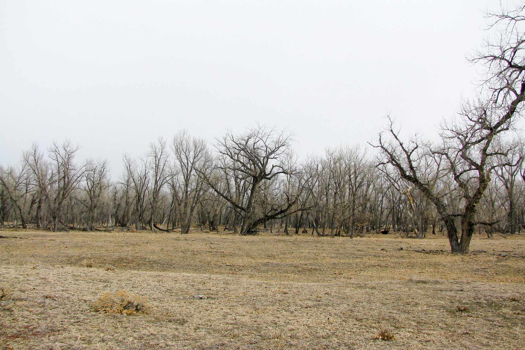Bradbury Bijou Creek Ranch property picture 24 of 24
