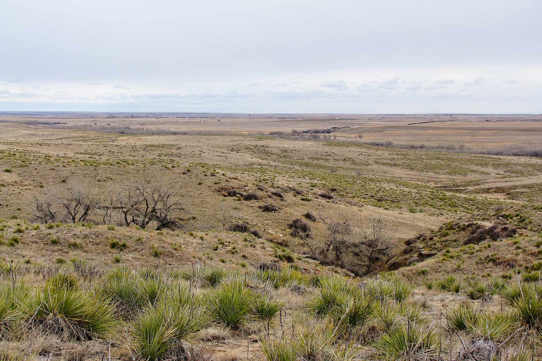 Bradbury Bijou Creek Ranch property picture 19 of 24