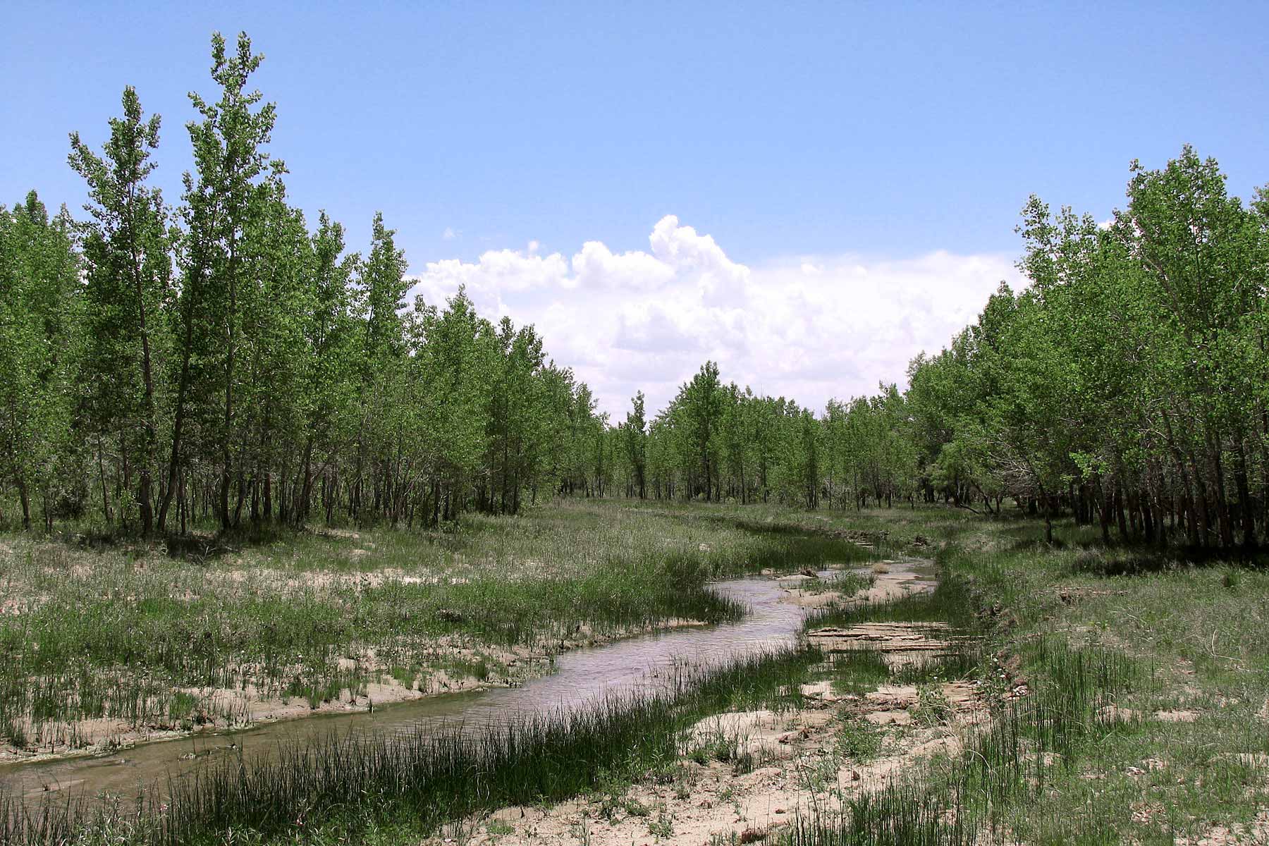 Bradbury Bijou Creek Ranch property picture 3 of 24