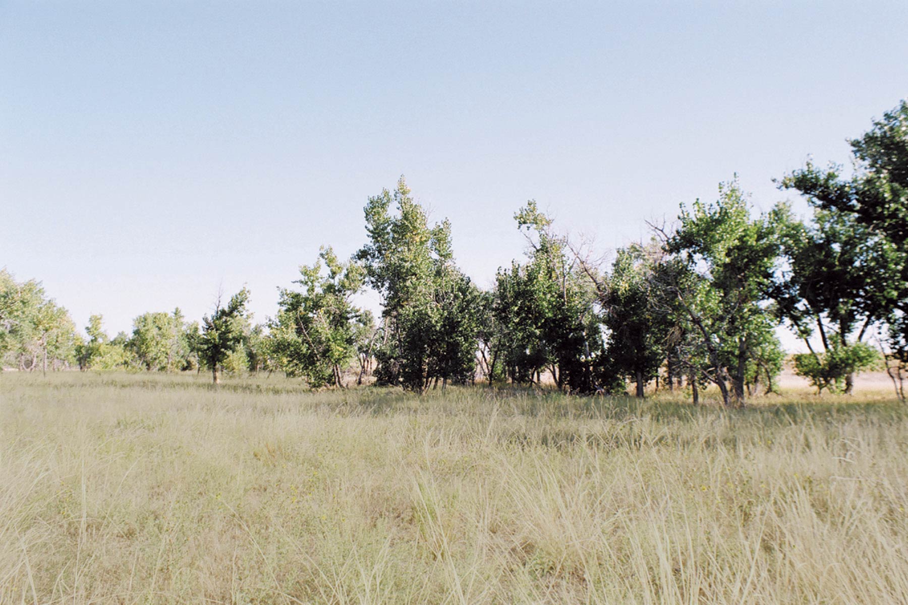 Bradbury Bijou Creek Ranch property picture 18 of 24