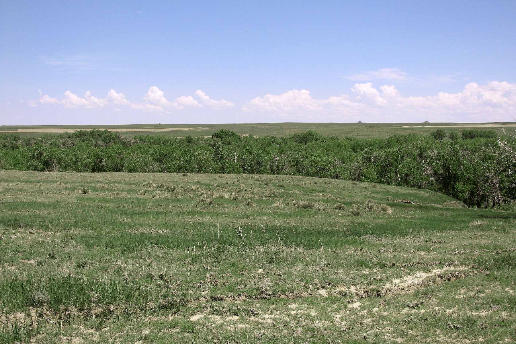 Bradbury Bijou Creek Ranch property picture 8 of 24